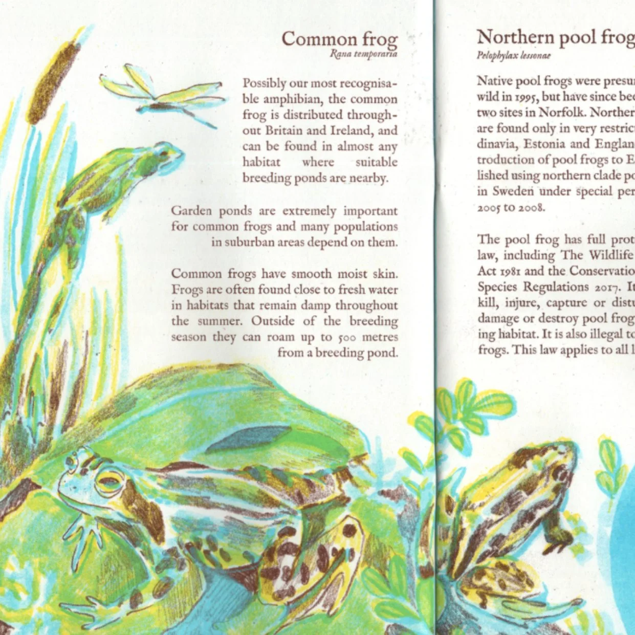 drawing up roots 5.jpg