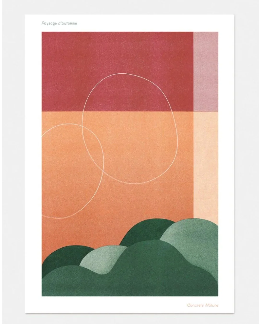 concrete nature 5.jpg