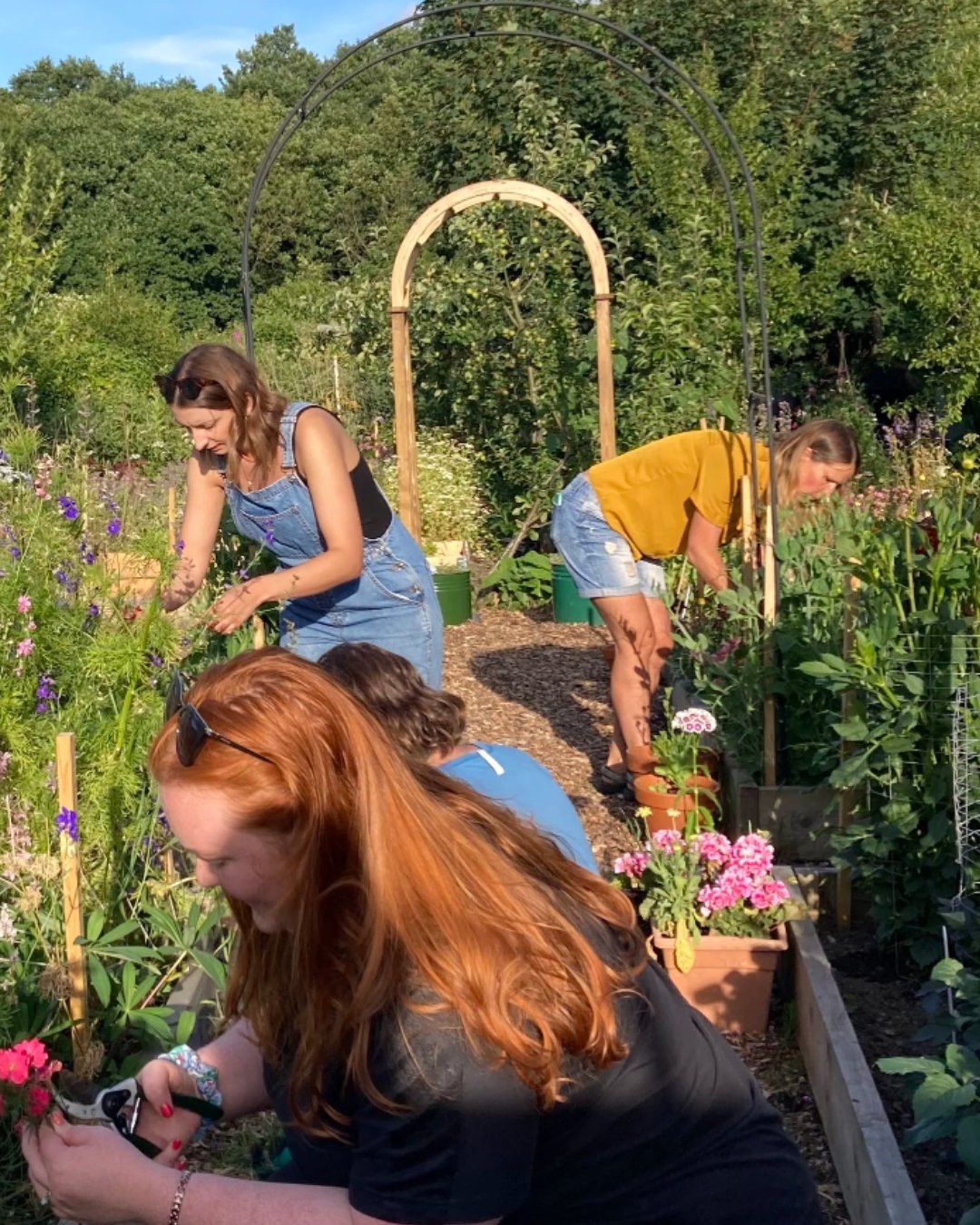 bloom 6.jpg