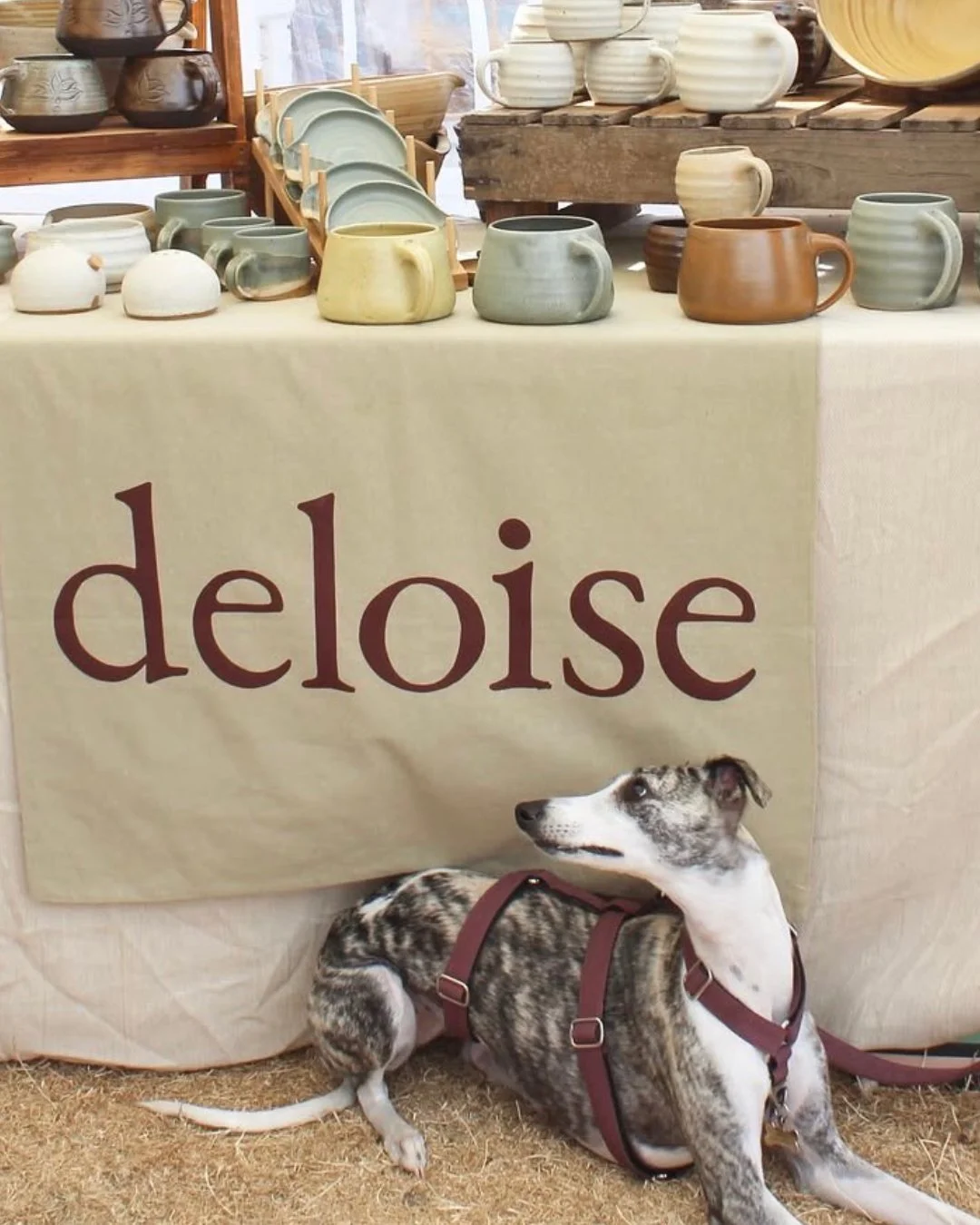 deloise 4.jpg