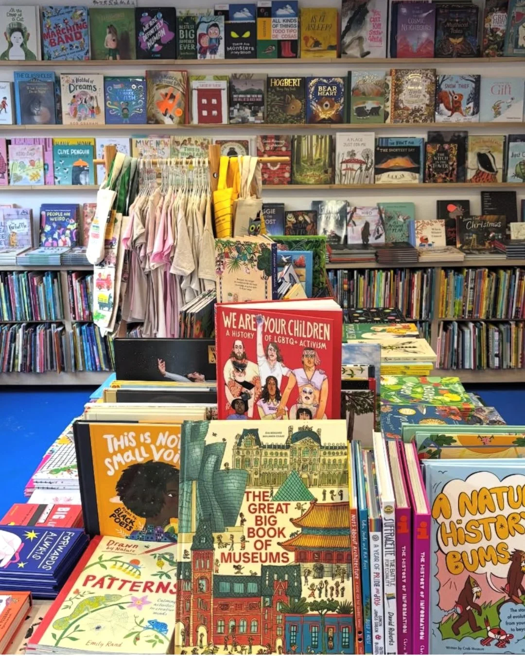 shelf 3.jpg