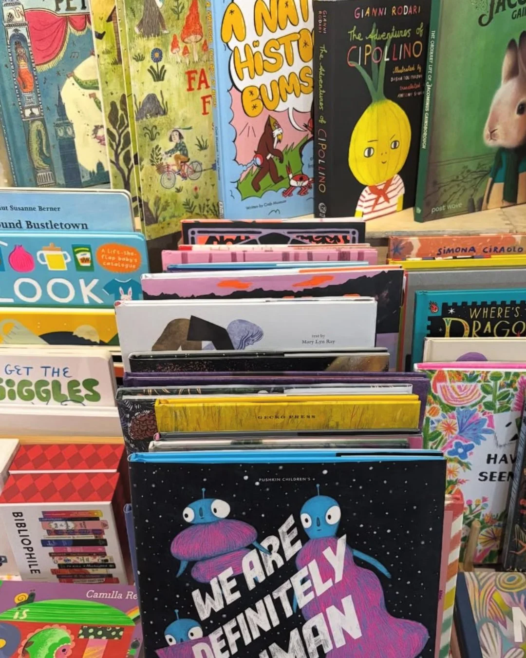 shelf 2.jpg