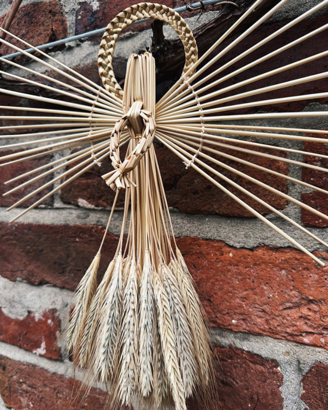 braided grain.jpg