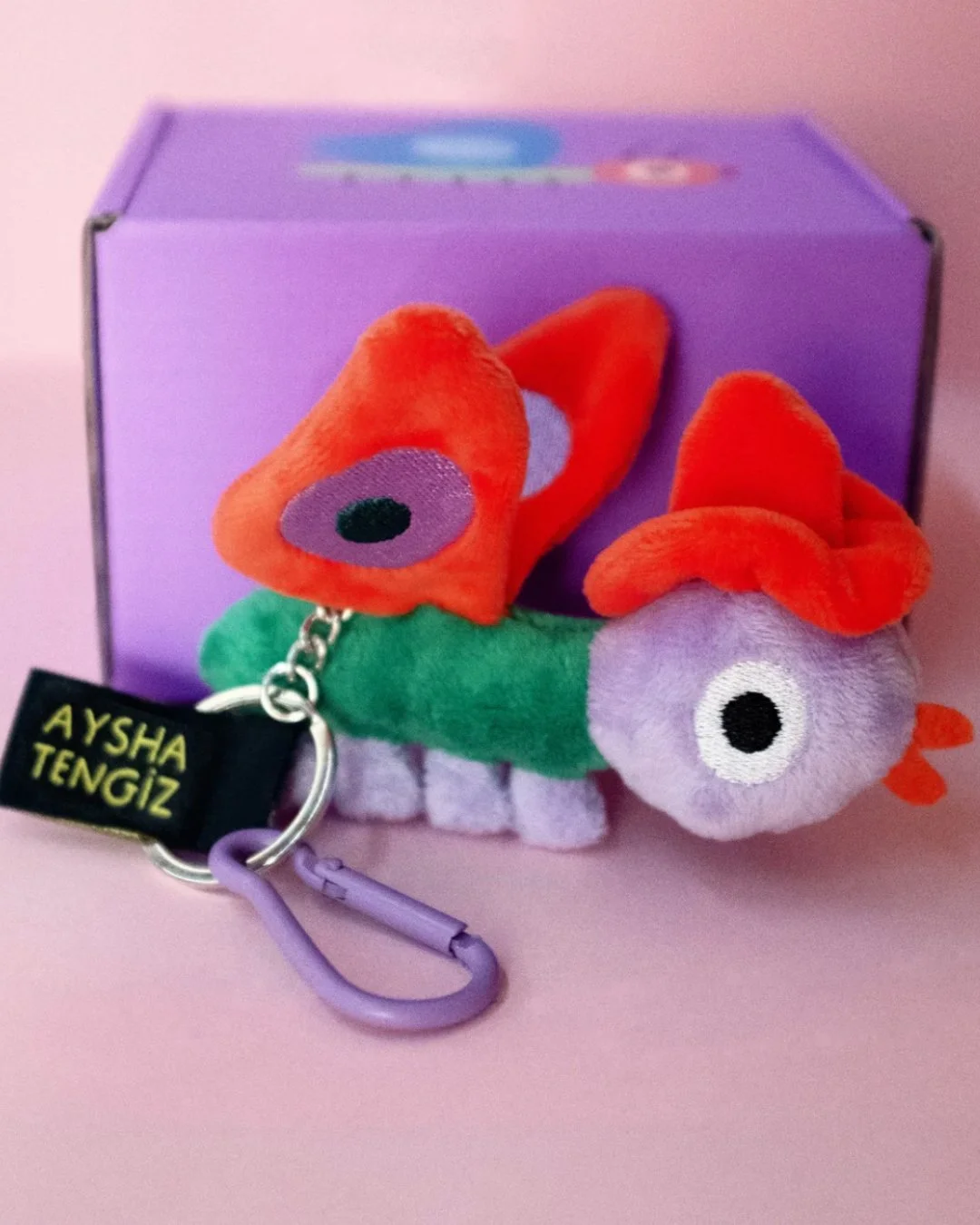 aysha 2.jpg
