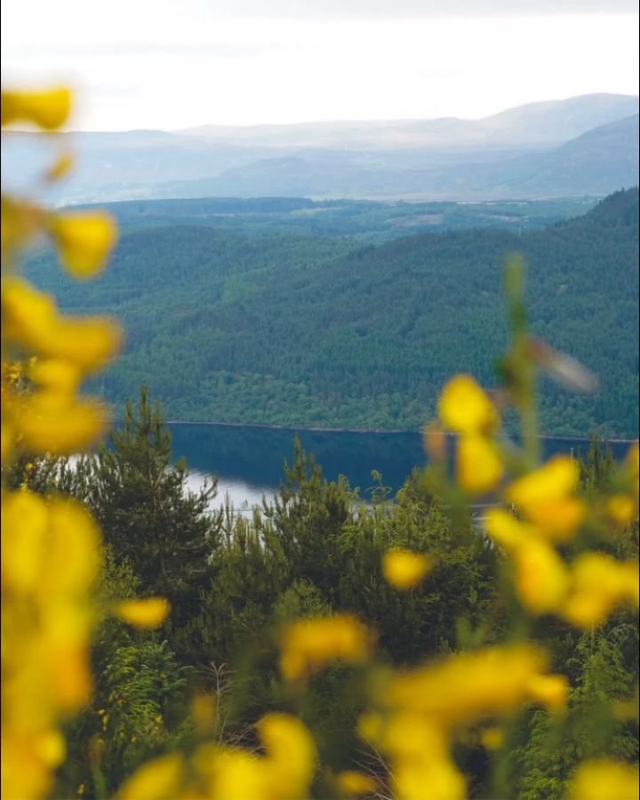 Kicking off summer with a new series: The Trail Edit &mdash; where I pair photography and bts moments with hike-worthy trails for your bucket list. 

First up: The Great Glen Way in the Scottish Highlands.

This one&rsquo;s a 124 km trail that follow