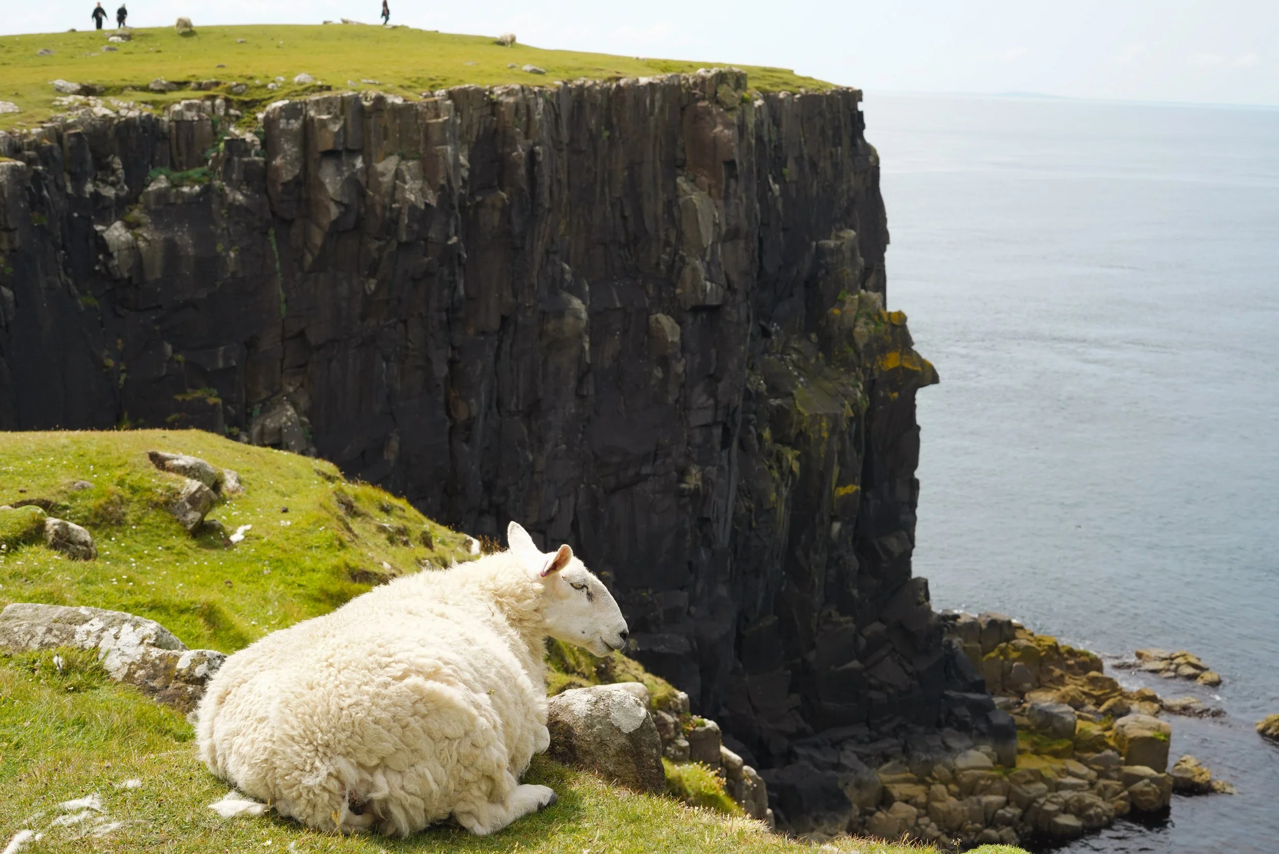 Scotland-190.jpg