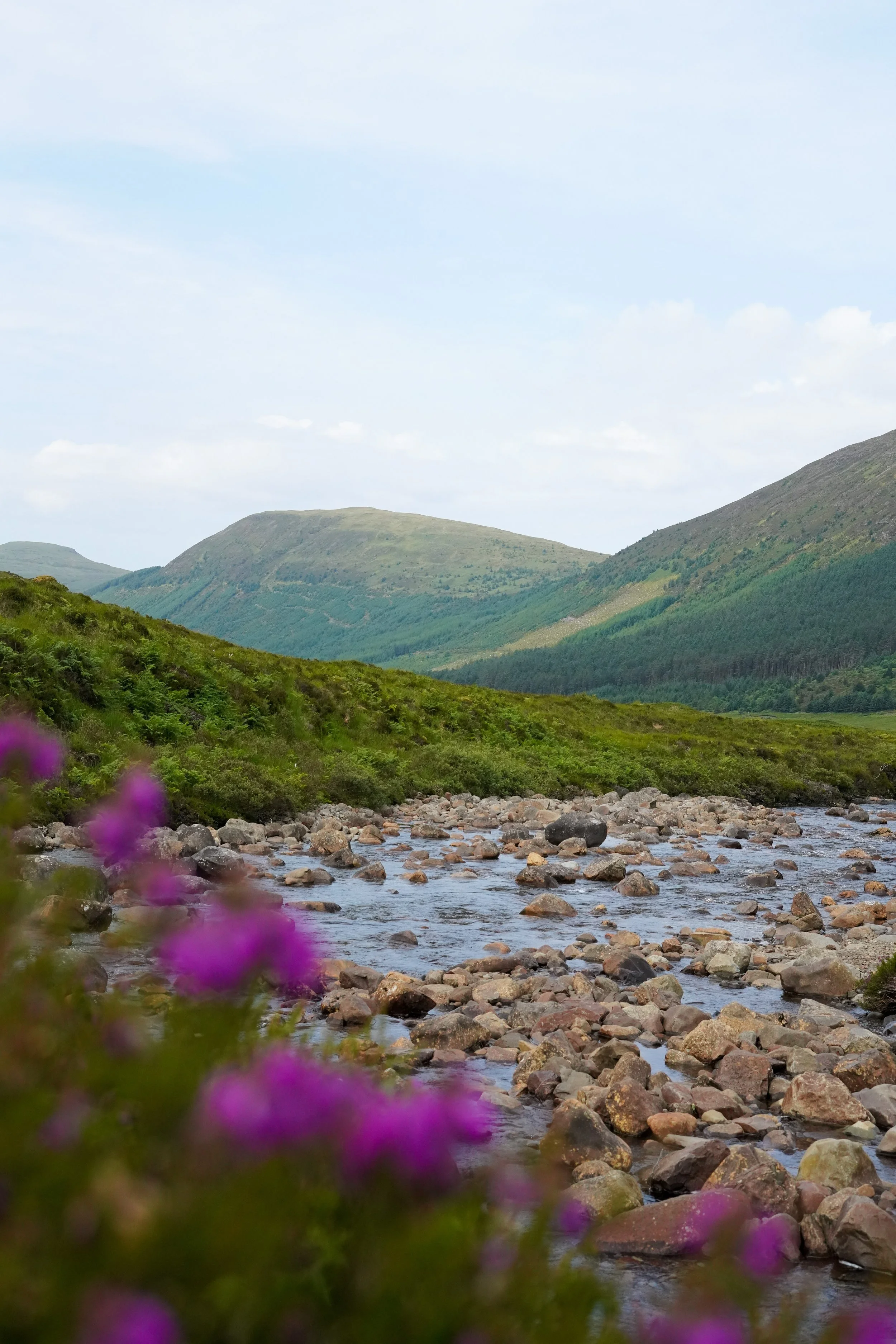 Scotland-174.jpg