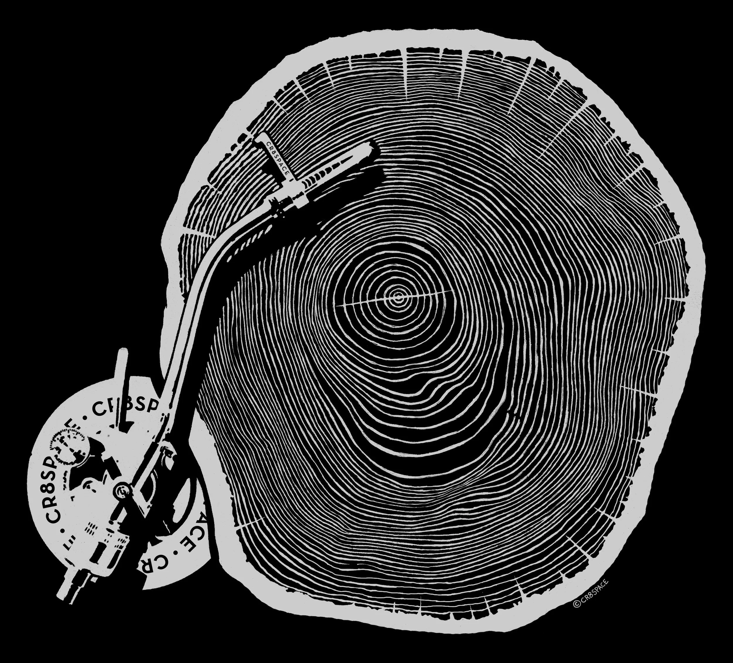 tree_ring_turntable_negative_01.jpg