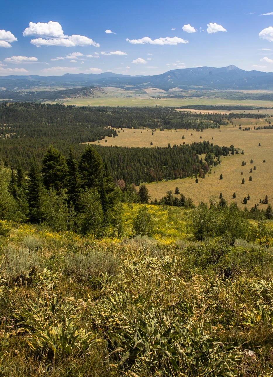 Wyoming 10.jpg