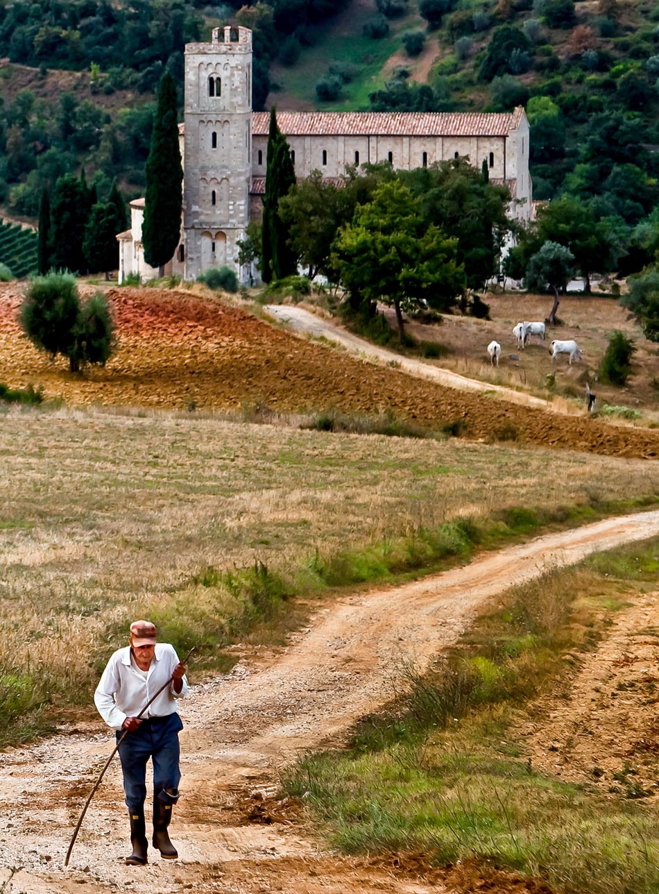 Tuscan-walker-2.jpg