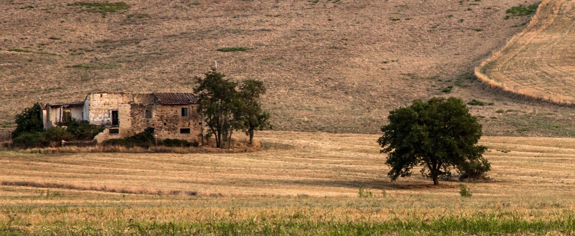 tuscany 12.jpg