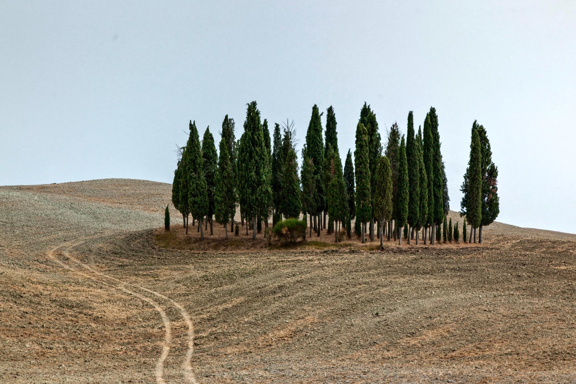 tuscany 20.jpg