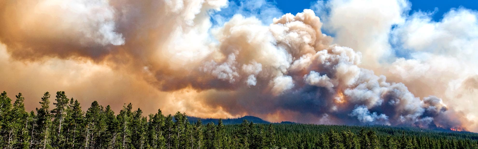 glacier-forest-fire.jpg