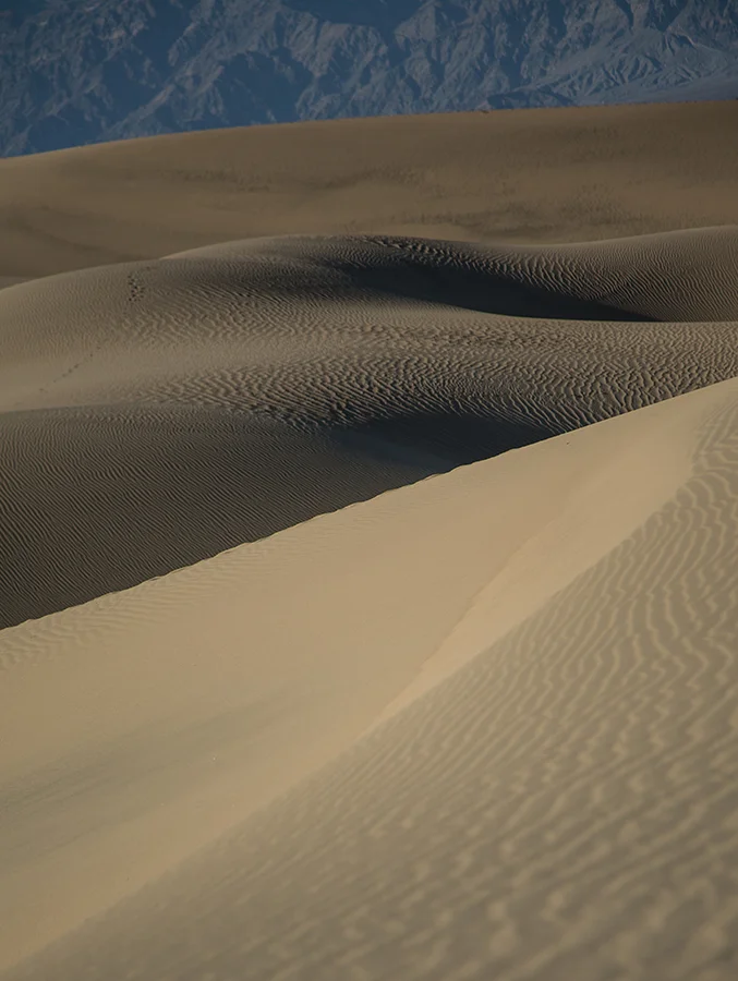 mesquite dunes 3.jpg
