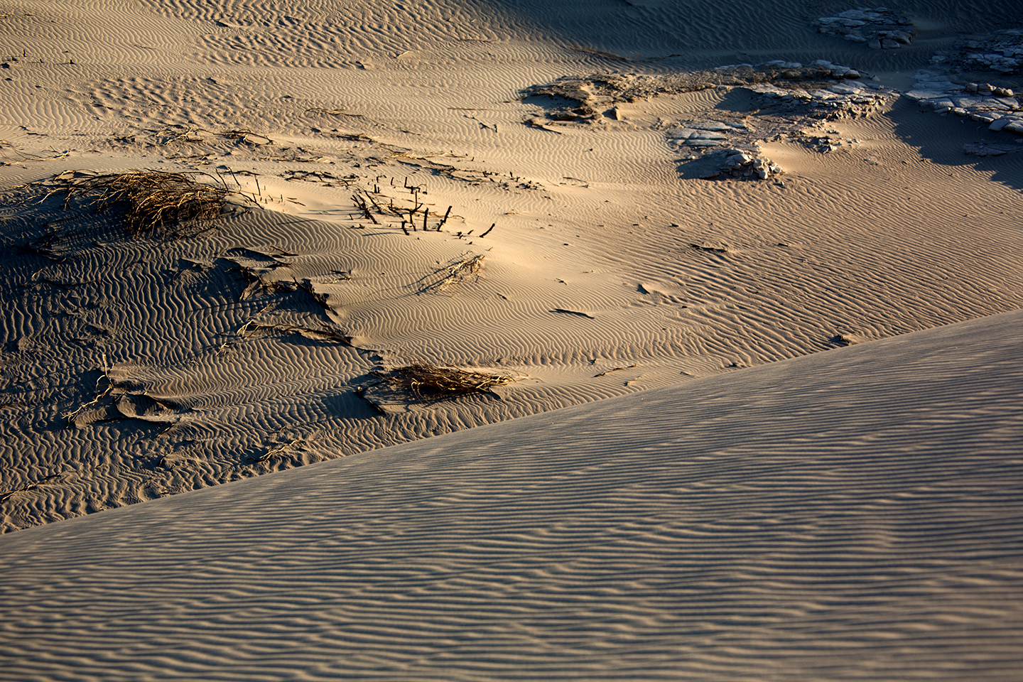 mesquite dunes 5.jpg