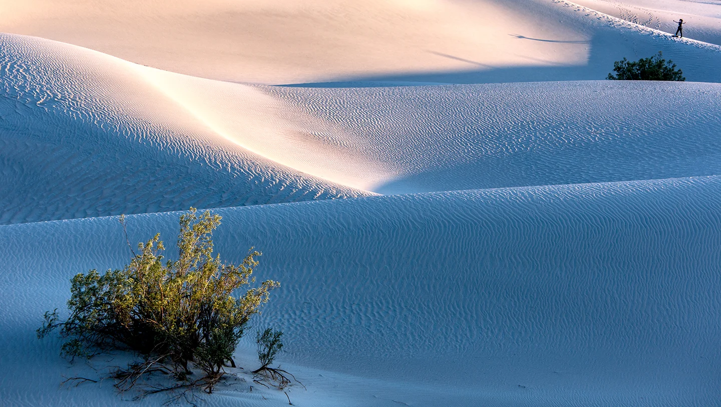mesquite dunes.jpg