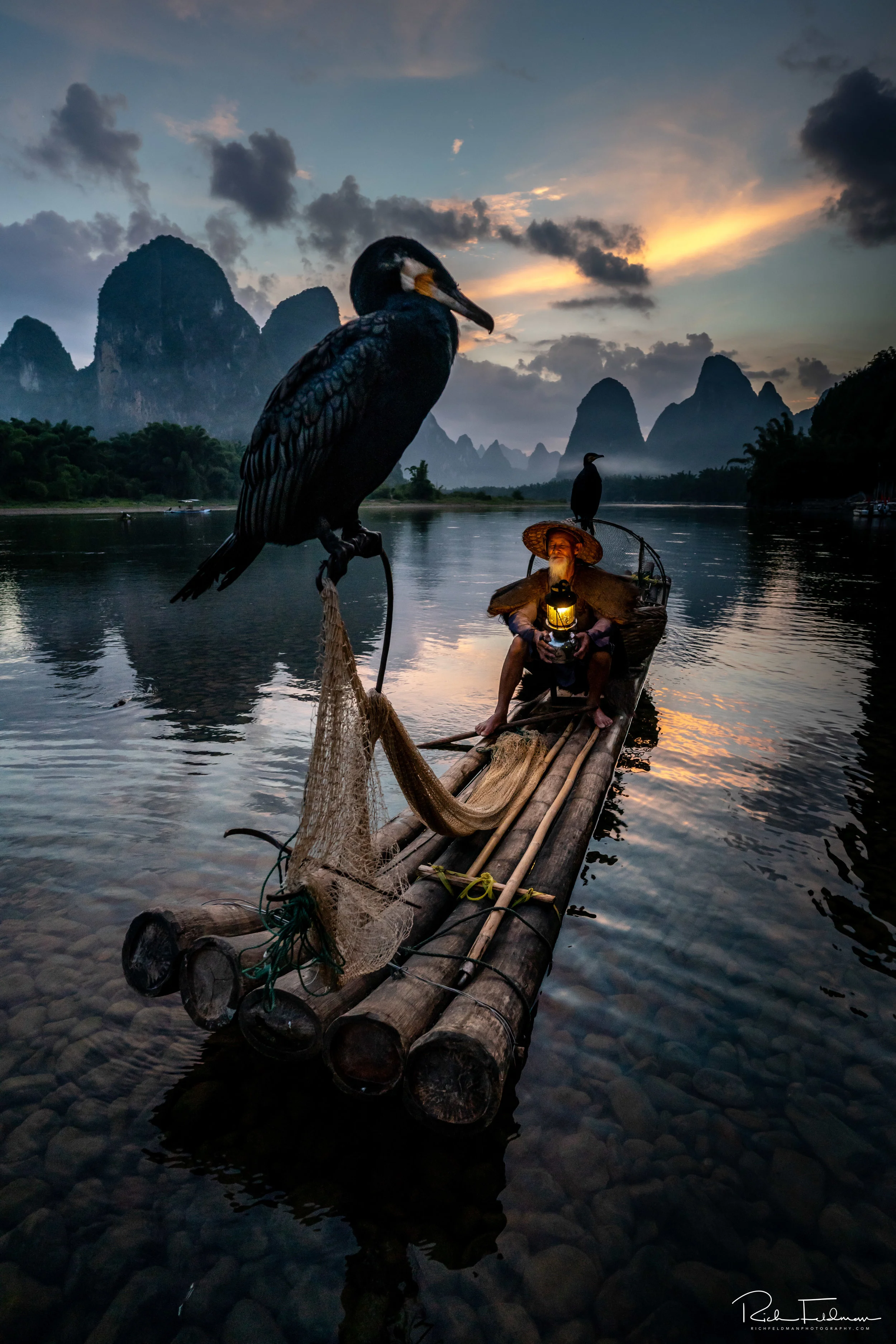 Cormorant Sunset.jpg