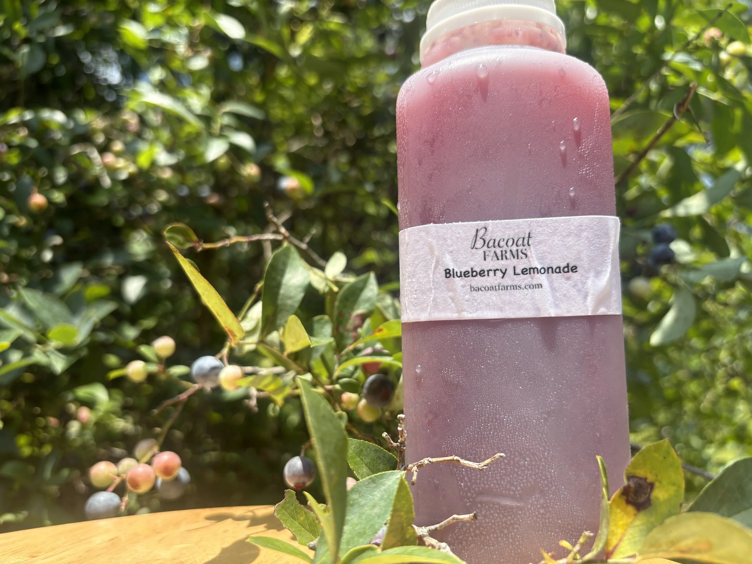 Blueberry Lemonade