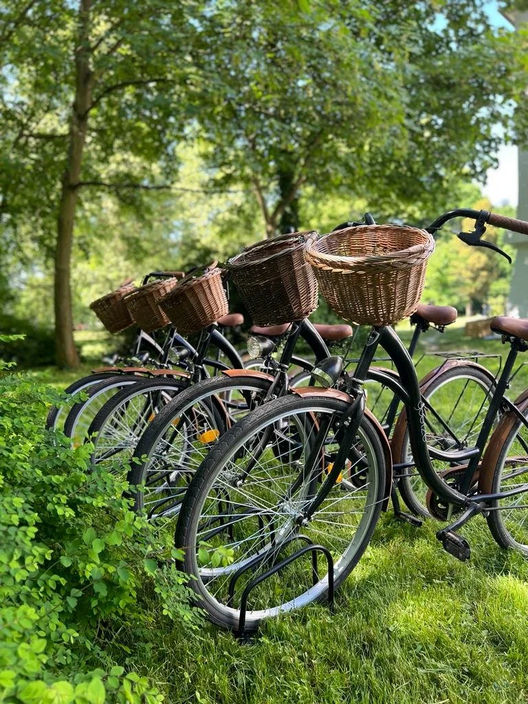 Exploring the Enchanting Surroundings of The Palace at Osowa Sien