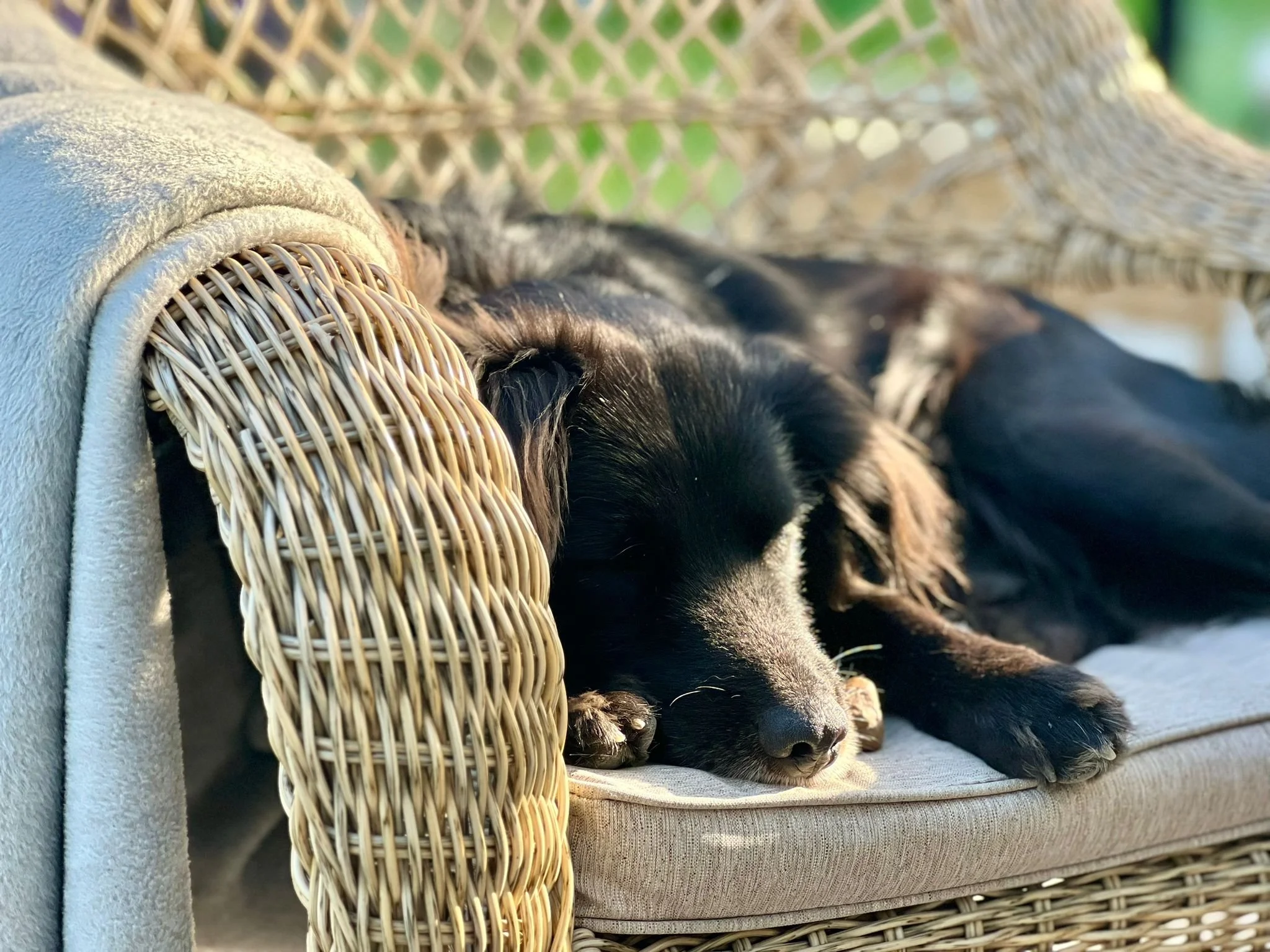 WhatsApp Image 2023-06-13 at 11.42.30.jpeg