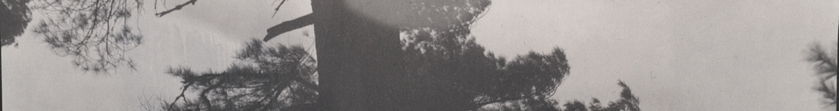 header5.jpg