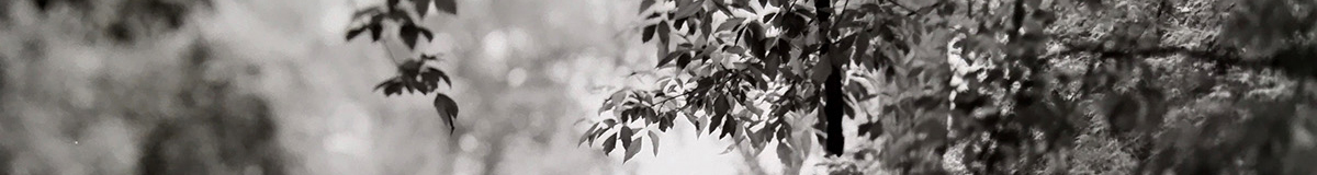 header4.jpg