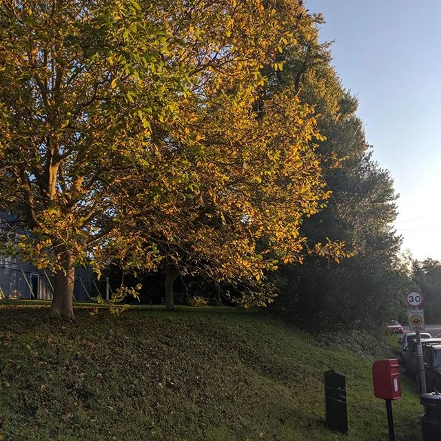 Autumn is upon us and the falling leaves remind us everyday that change is afoot, and we can do the same for ourselves! 
Feeling stagnant needn't be permanent, whether it's a bad routine you've found yourself in, a mindset you just can't drag yoursel