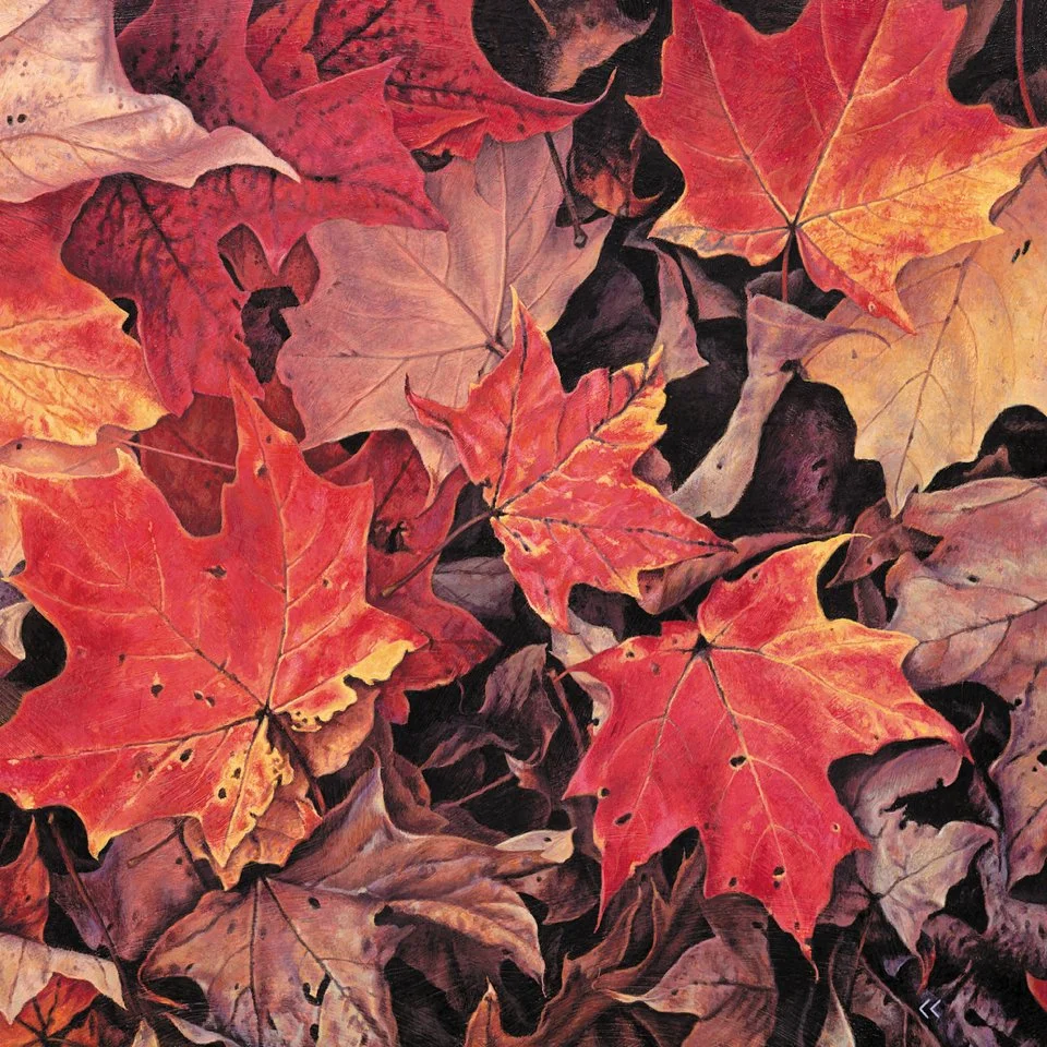 Forest Floor