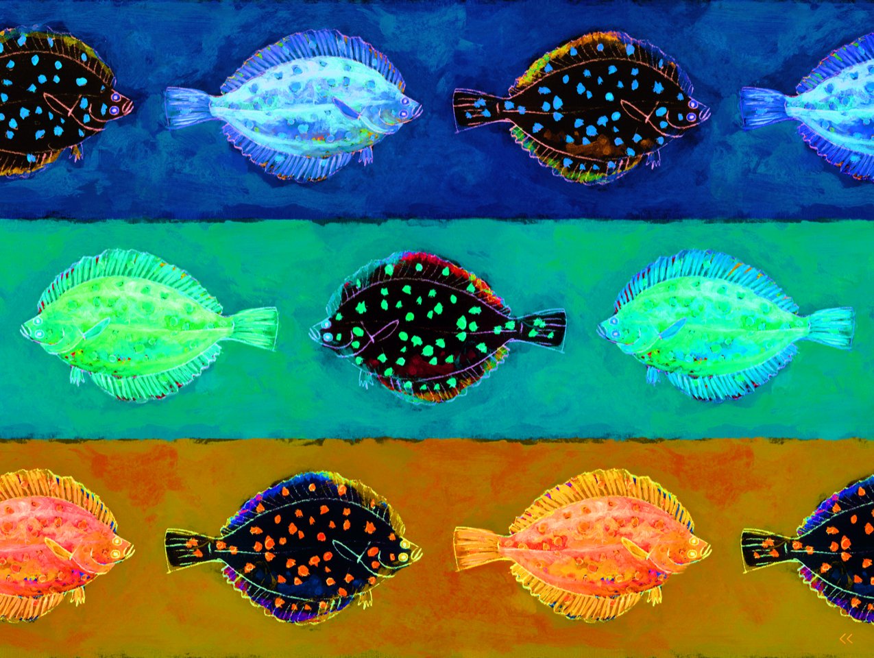 Plaice Race