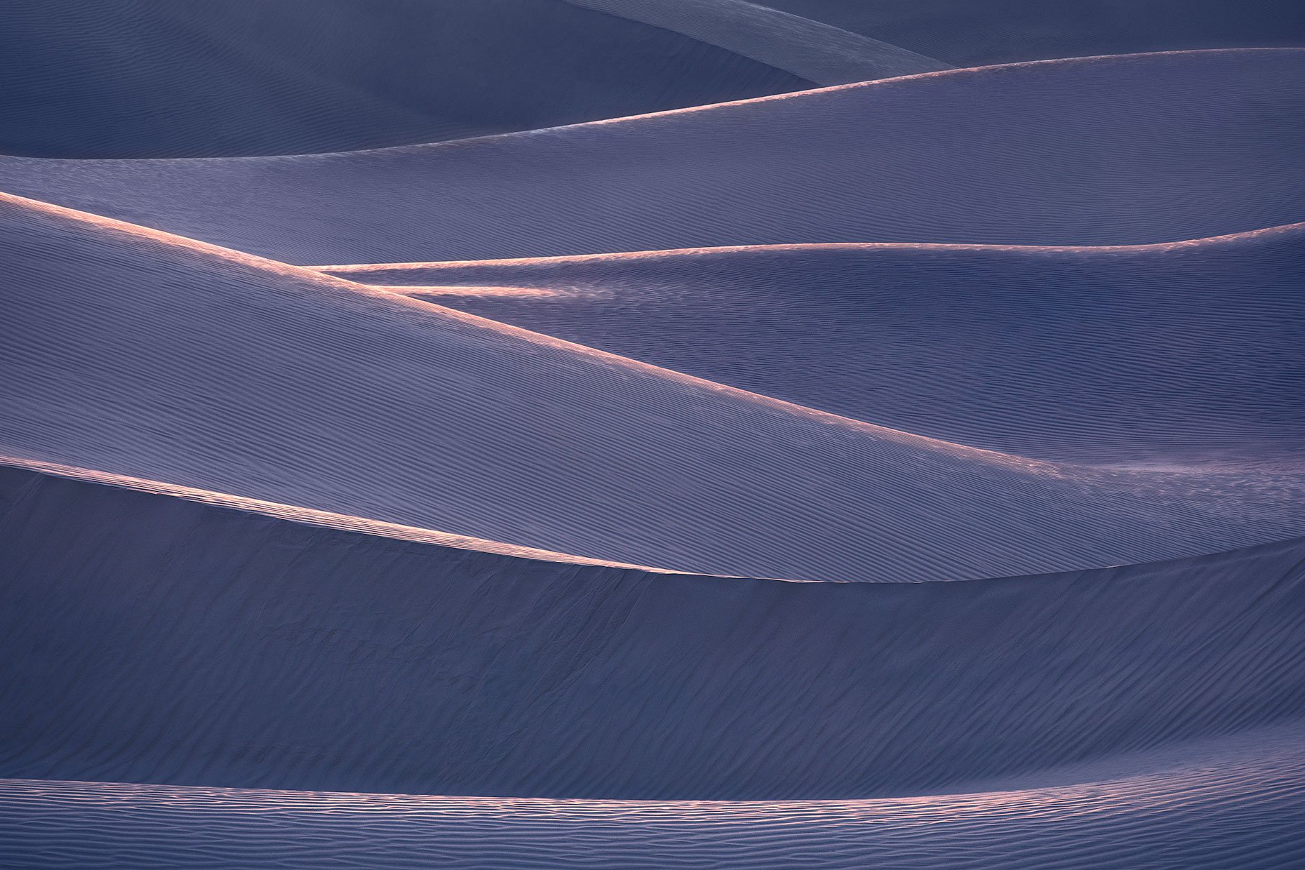 The Lavendar Mirage