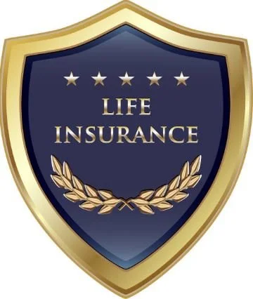Insurance Night