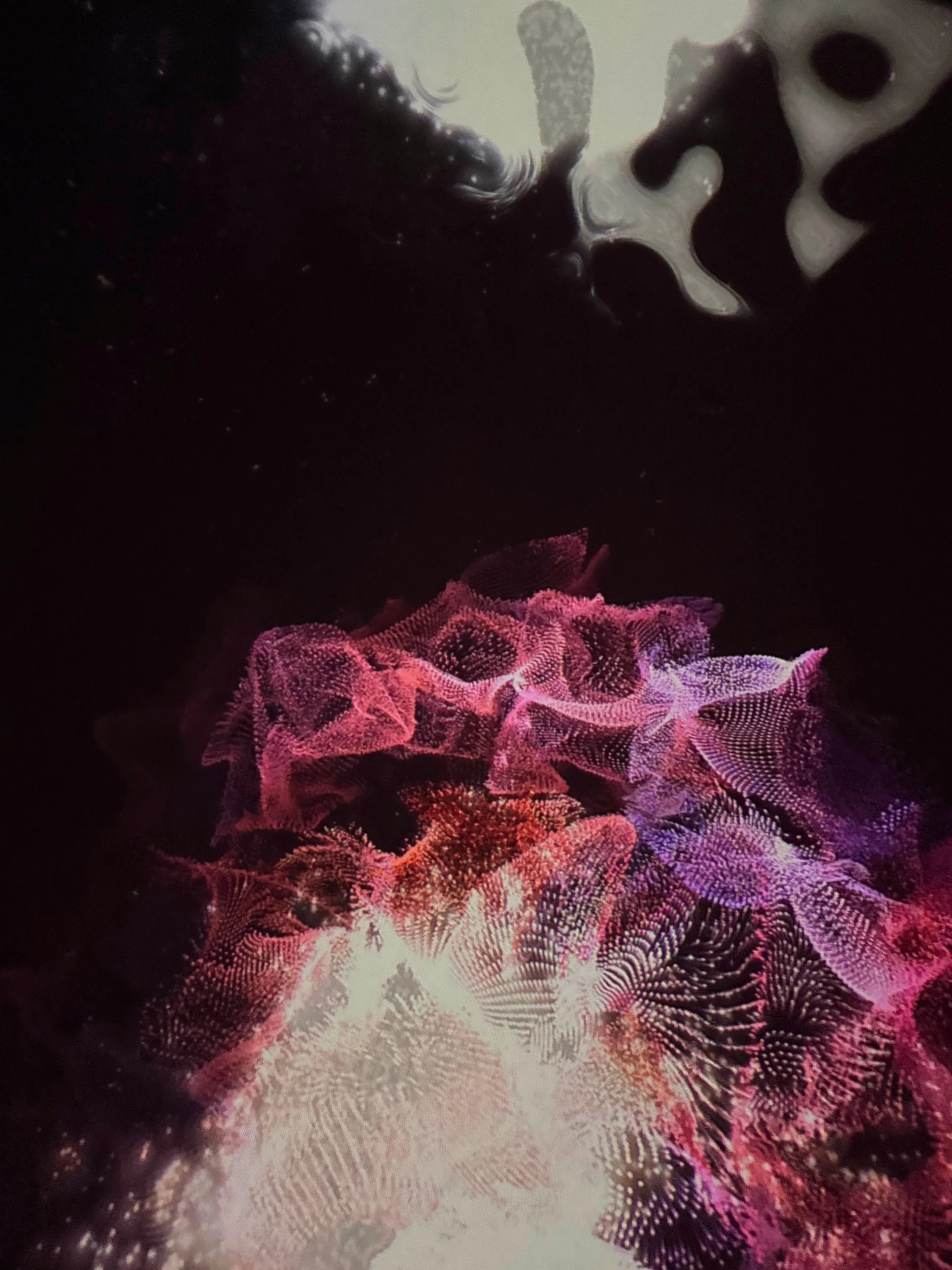 5AB358EC-FD3E-44C0-B72F-FC3D3D943427.jpeg