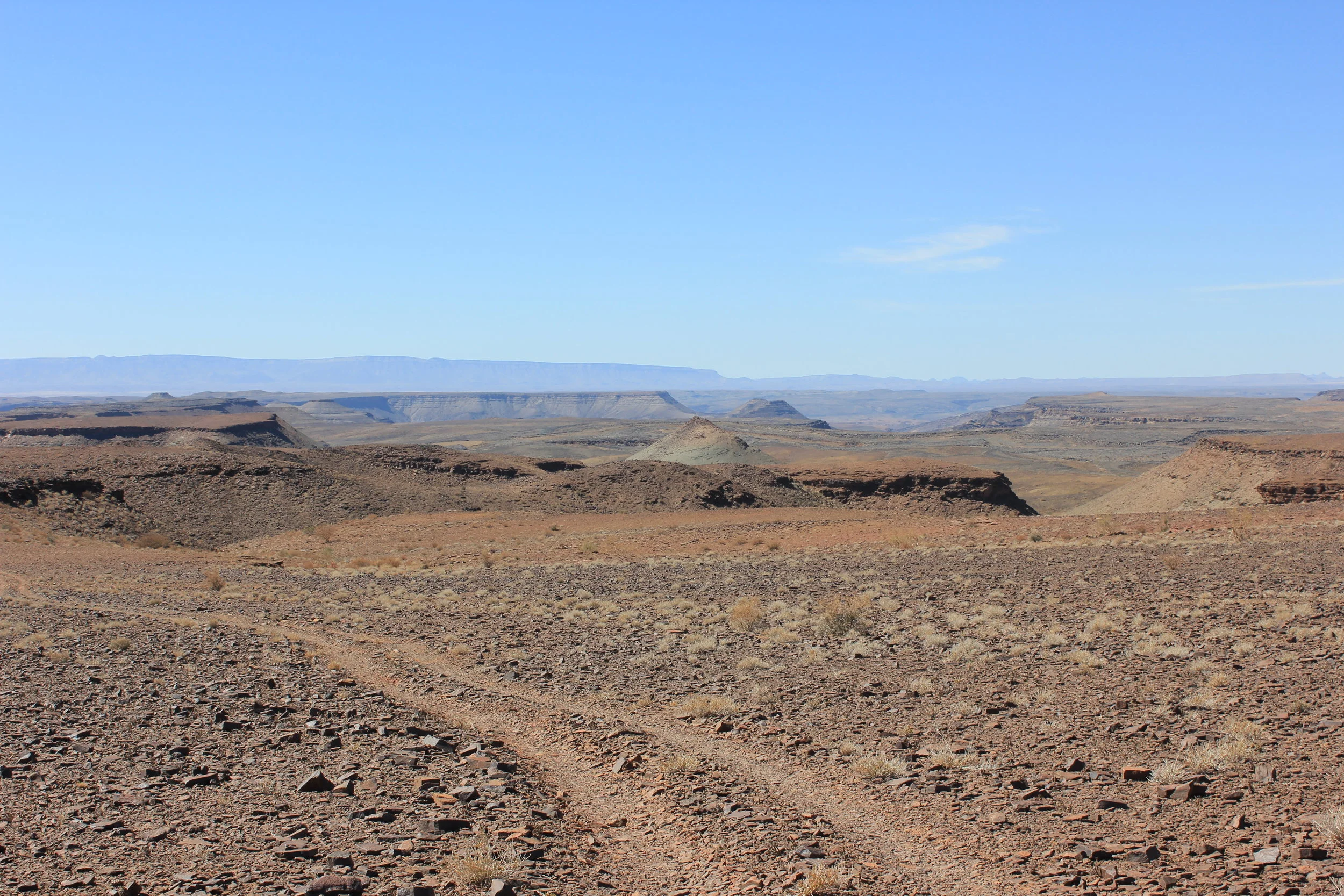  Photo credit: Marc Laflamme 