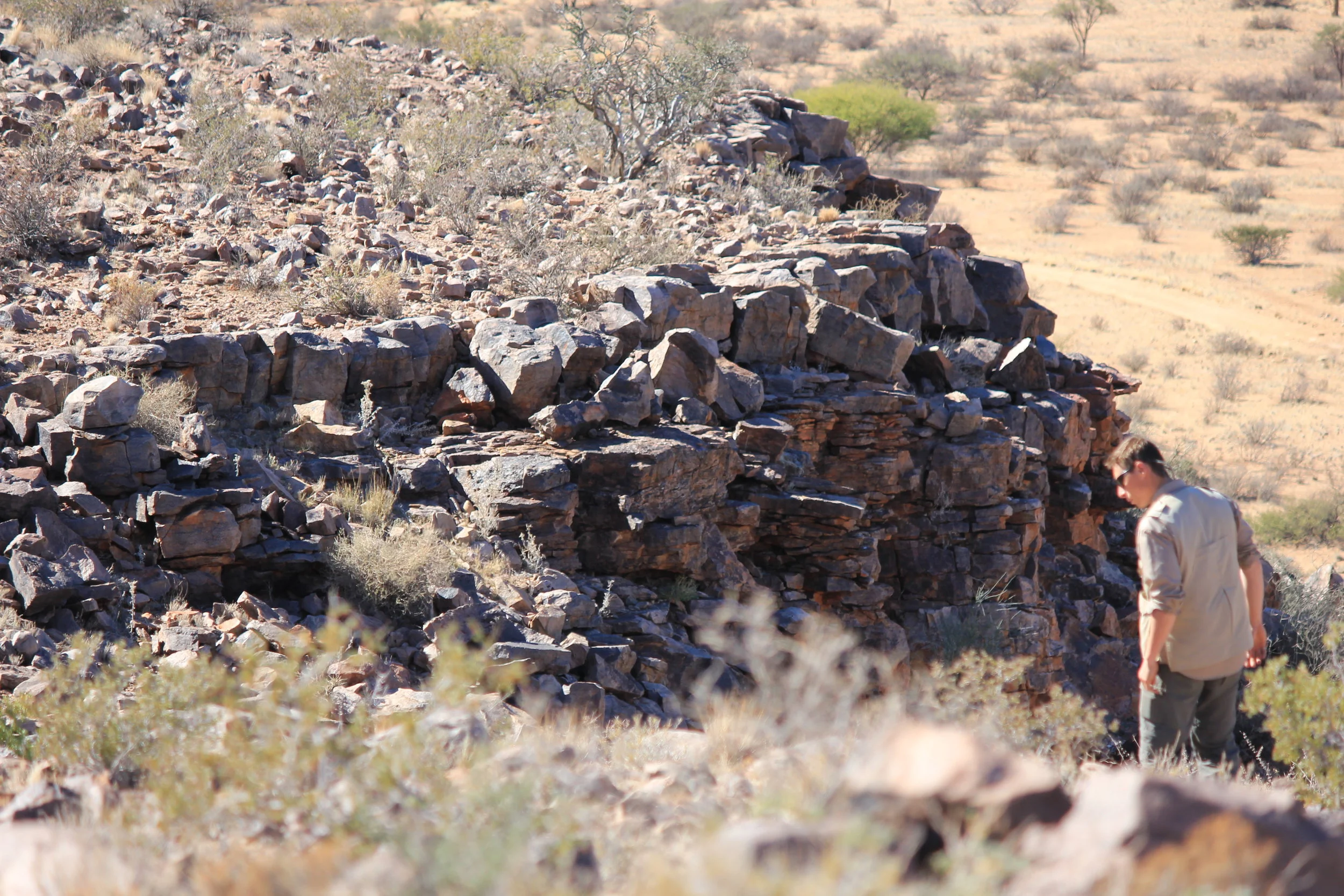  Photo credit: Marc Laflamme 