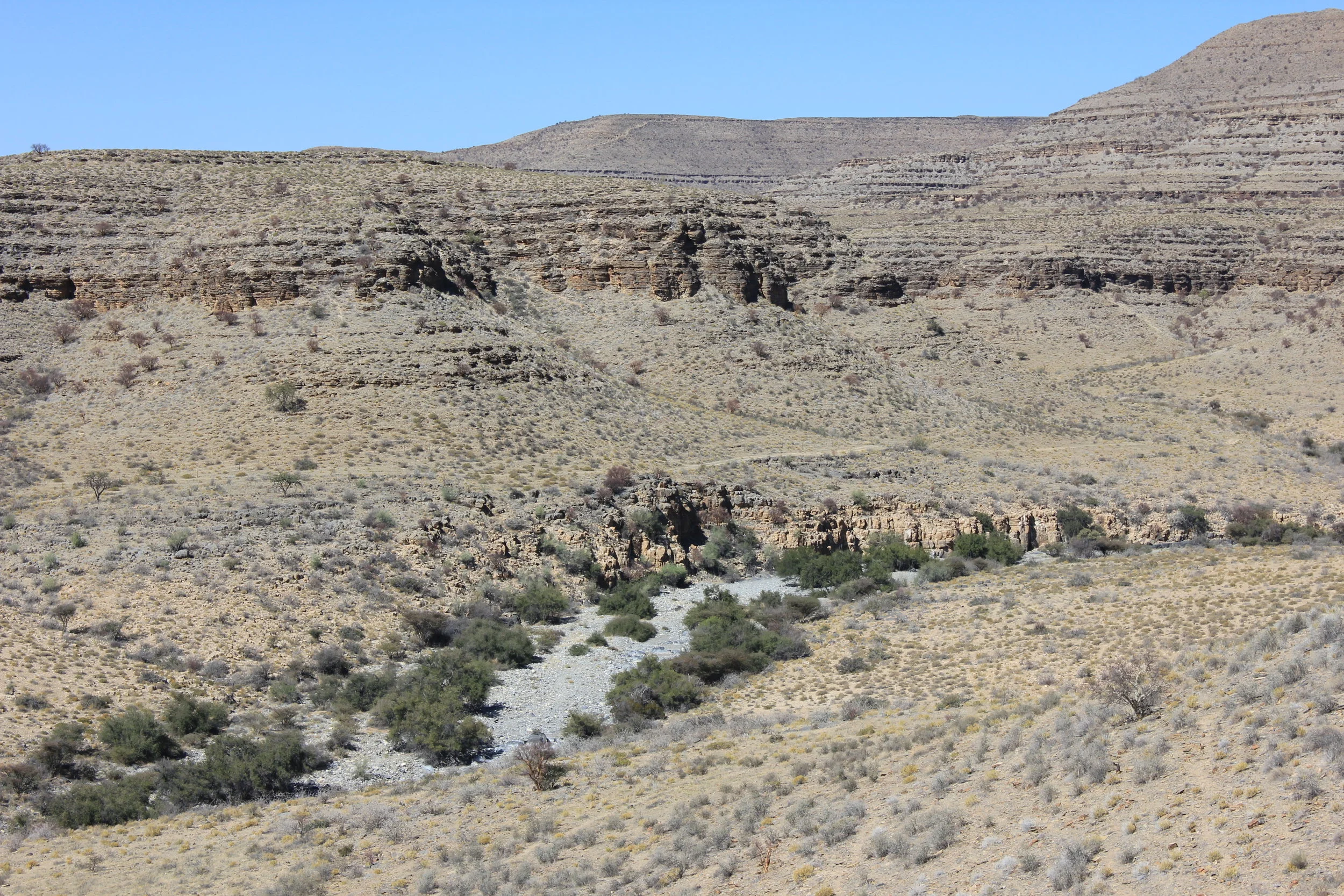  Photo credit: Marc Laflamme 