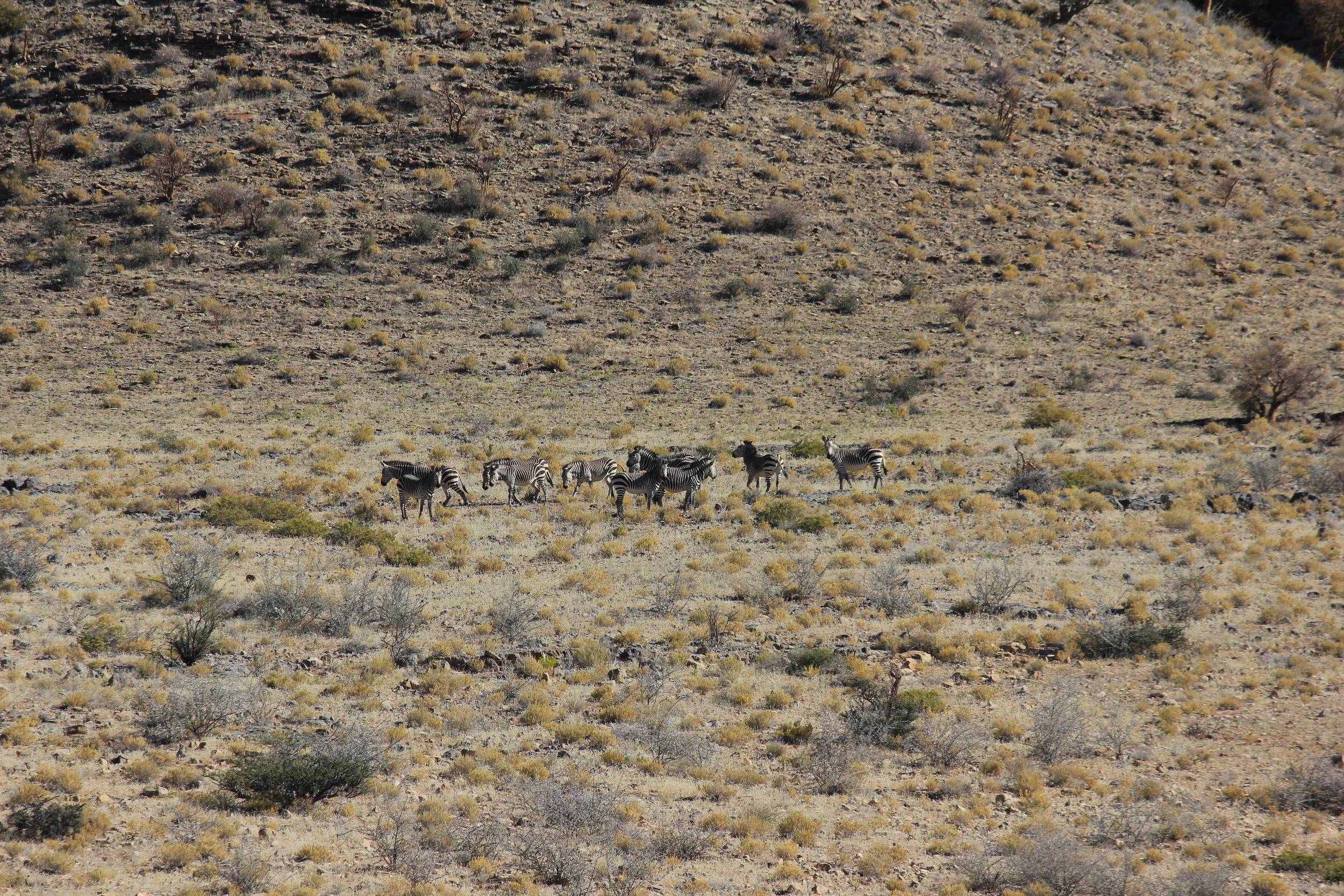  Photo credit: Marc Laflamme 