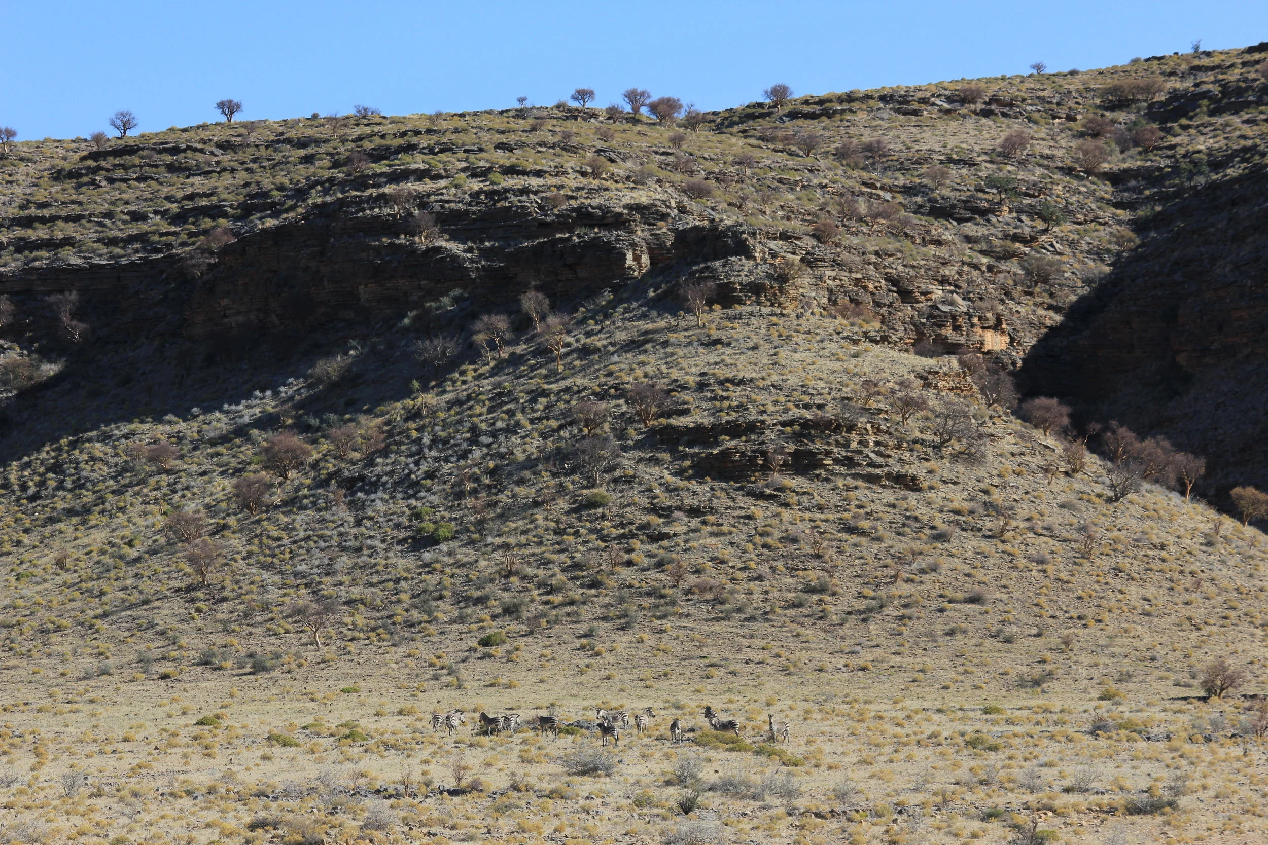  Photo credit: Marc Laflamme 