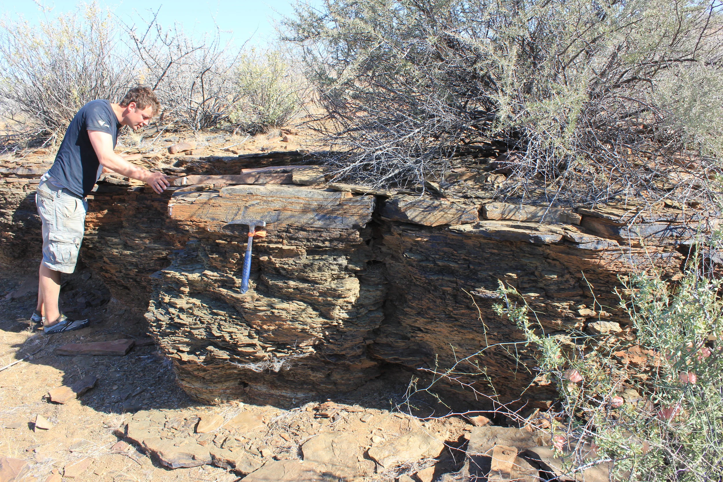  Photo credit: Marc Laflamme 