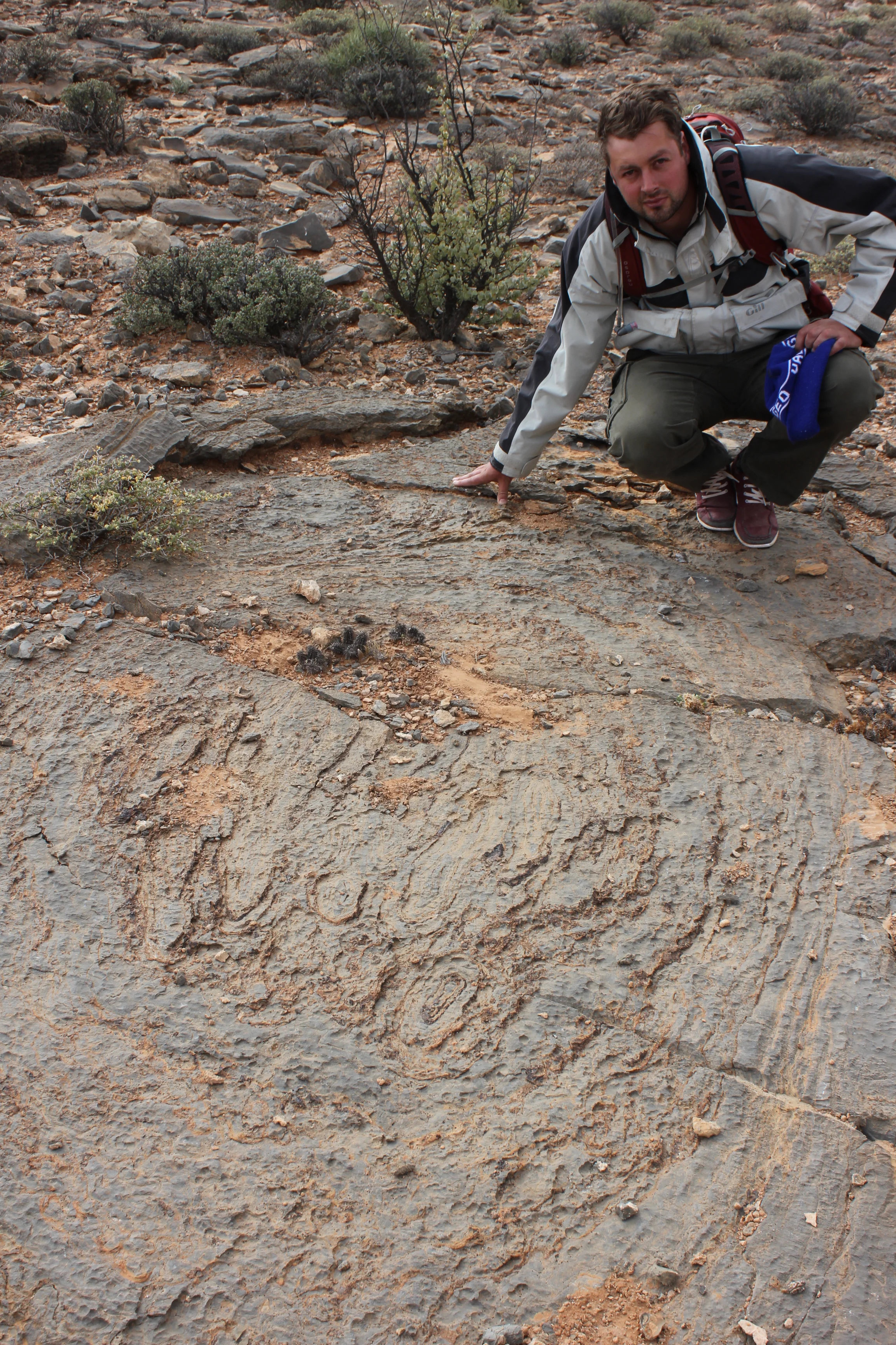  Photo credit: Marc Laflamme 