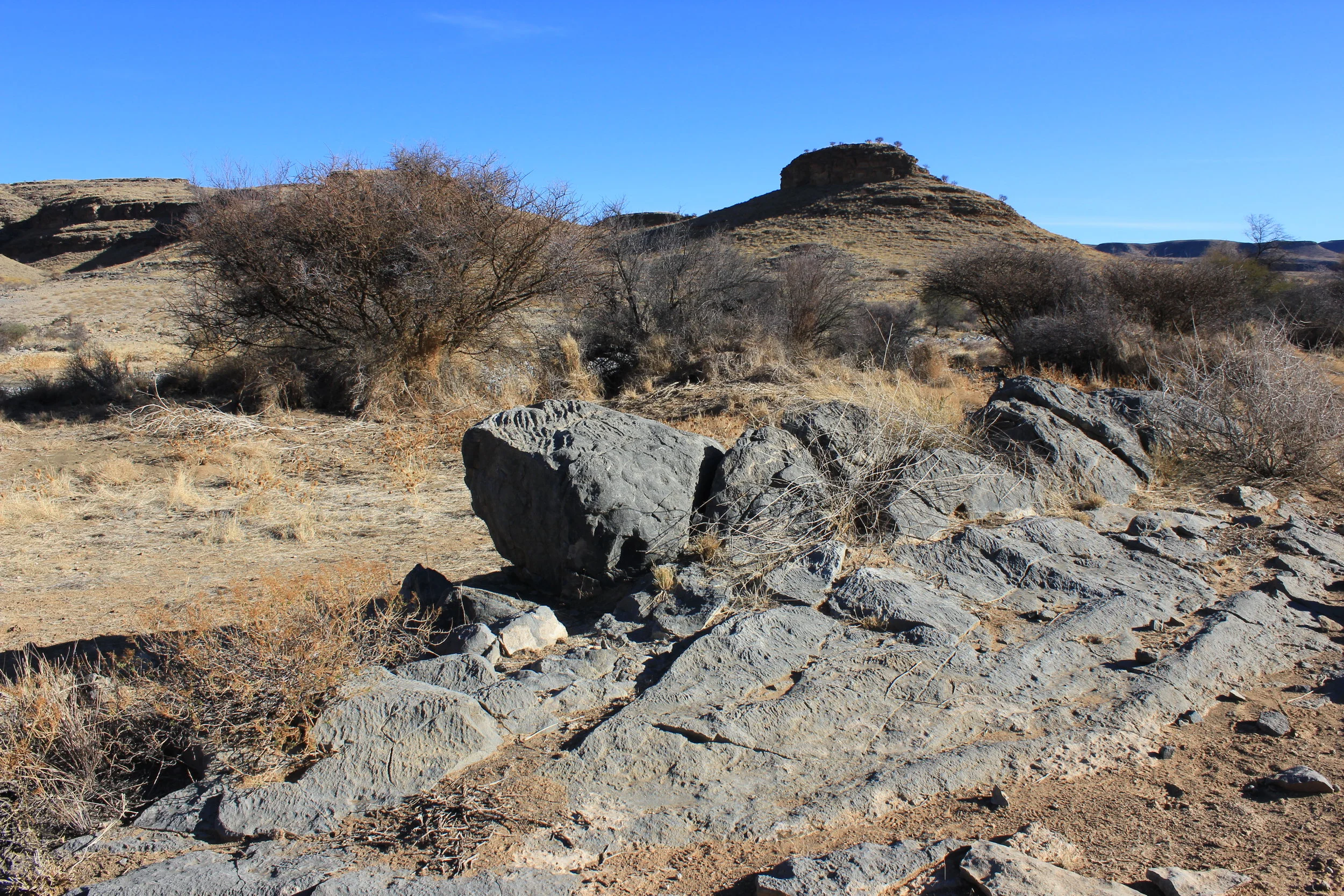  Photo credit: Marc Laflamme 