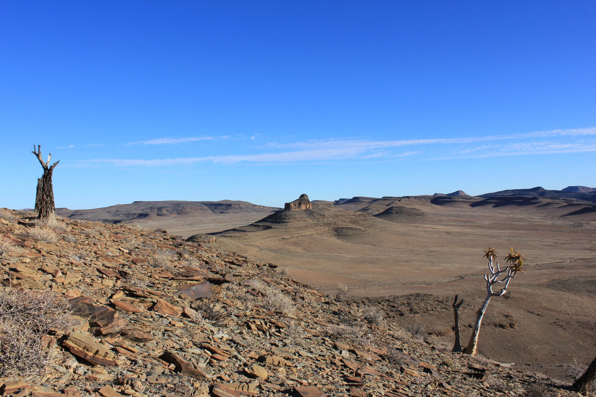  Photo credit: Marc Laflamme 