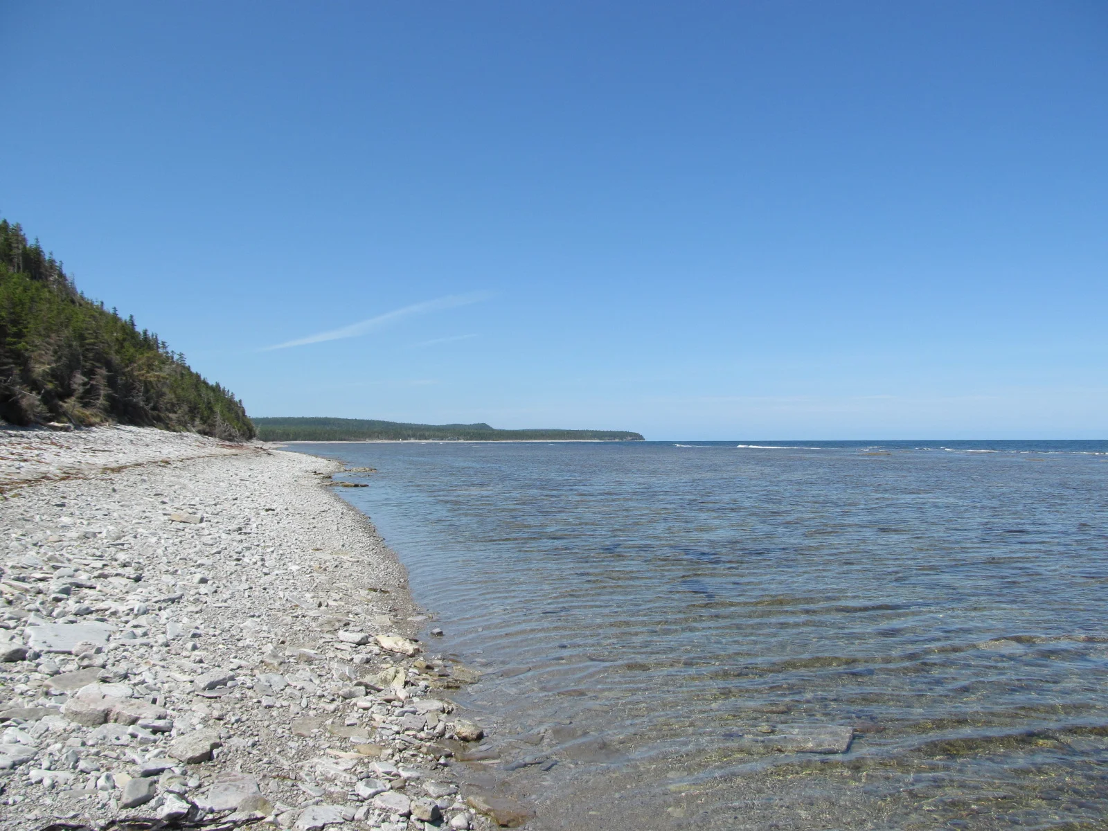  Image credit: Amelinda Webb (Washington College) 