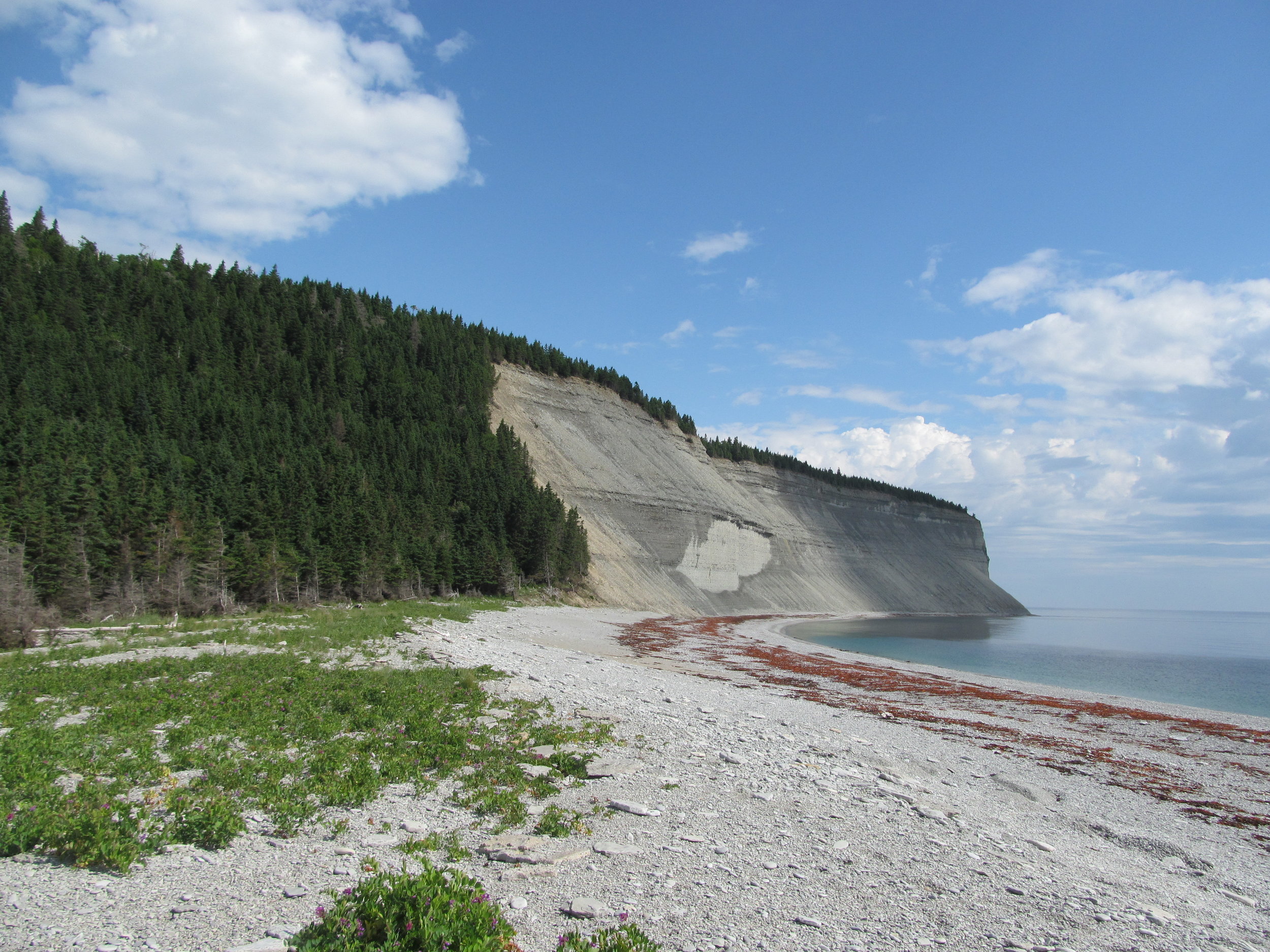  Image credit: Amelinda Webb (Washington College) 