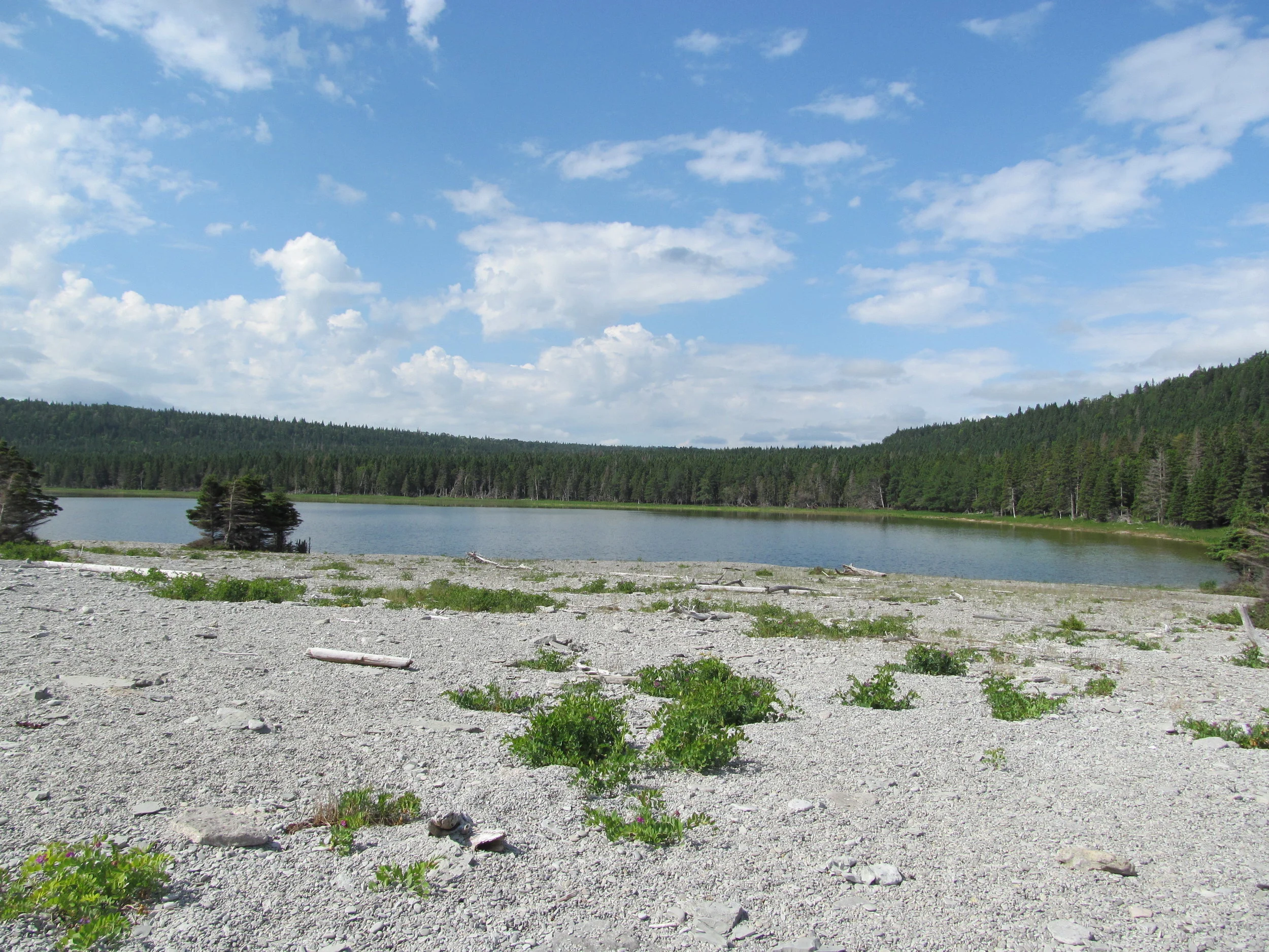  Image credit: Amelinda Webb (Washington College) 