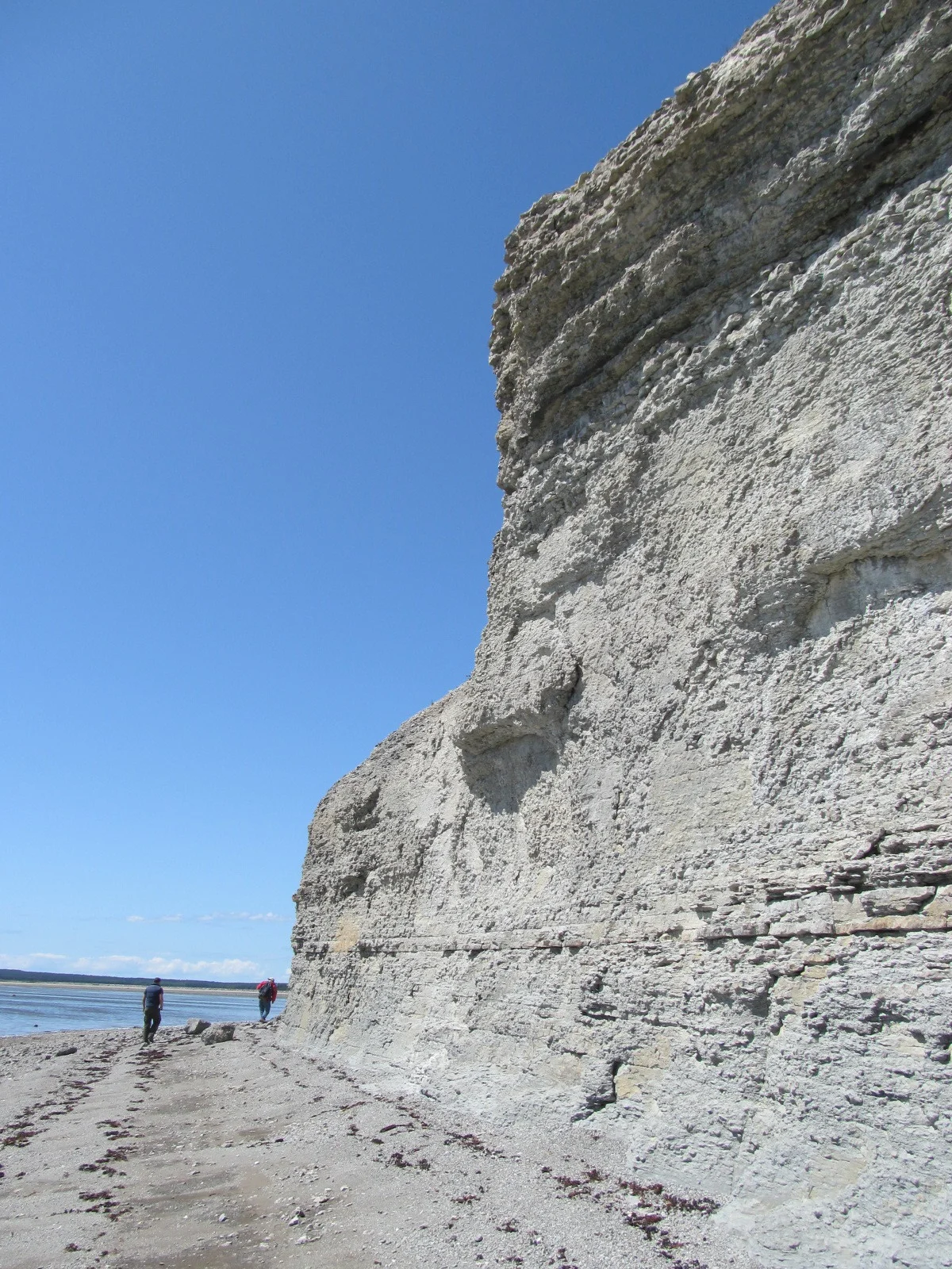  Image credit: Amelinda Webb (Washington College) 