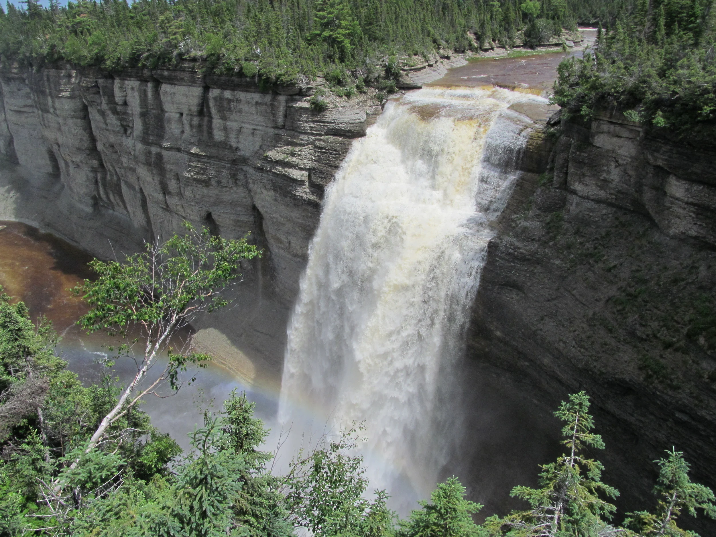  Image credit: Amelinda Webb (Washington College) 