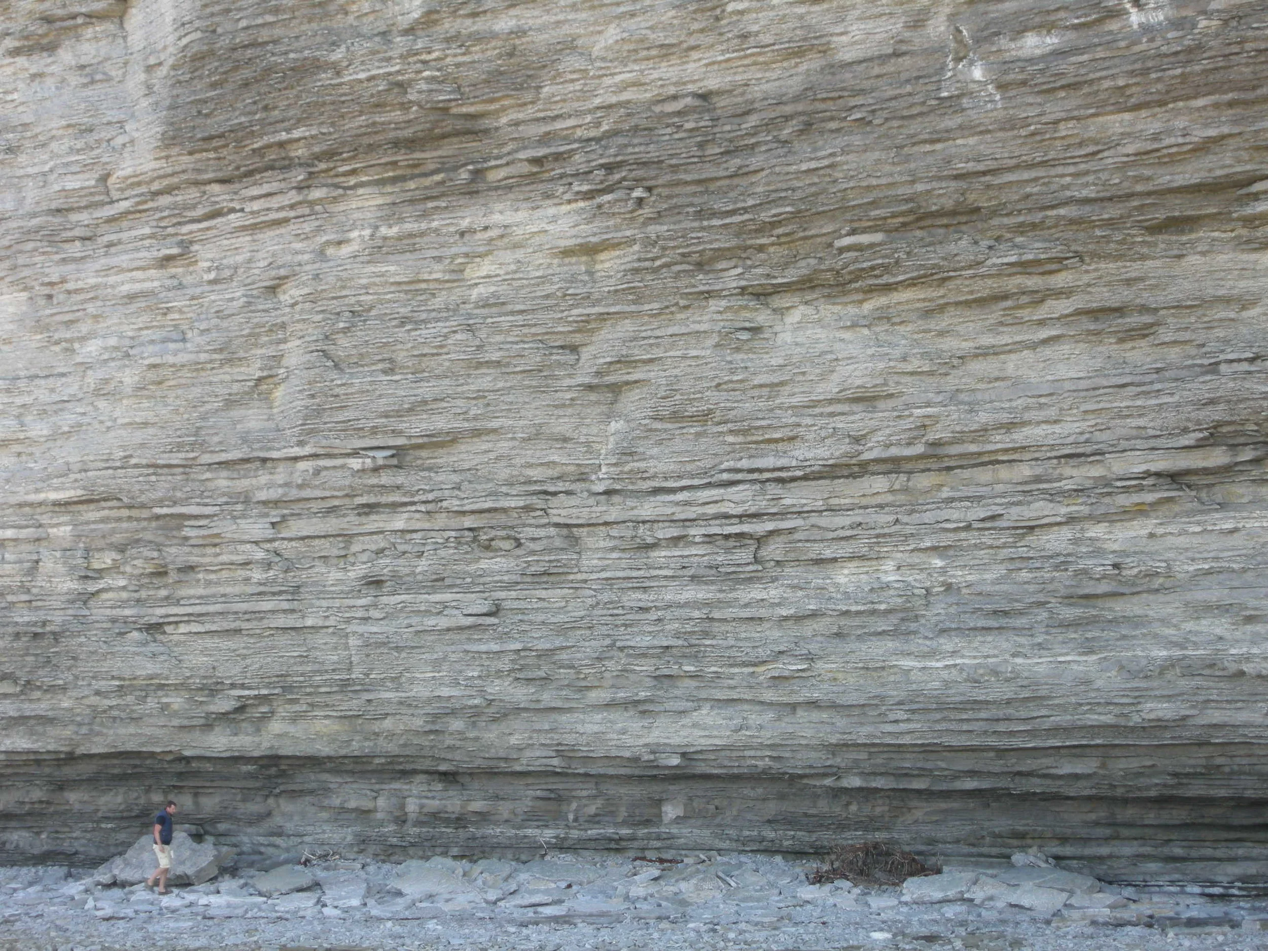  Image credit: Amelinda Webb (Washington College) 