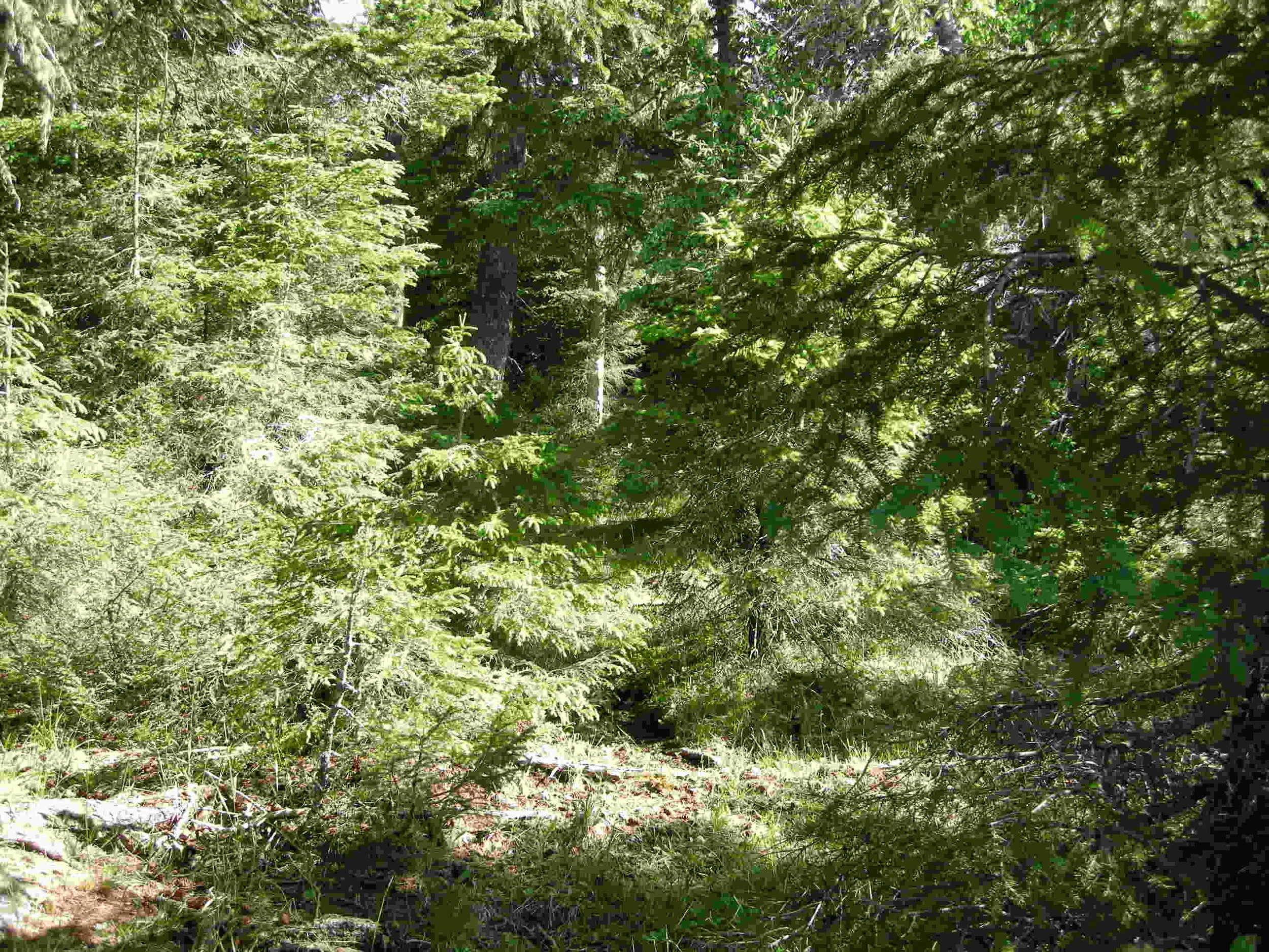 DSCN3685.JPG