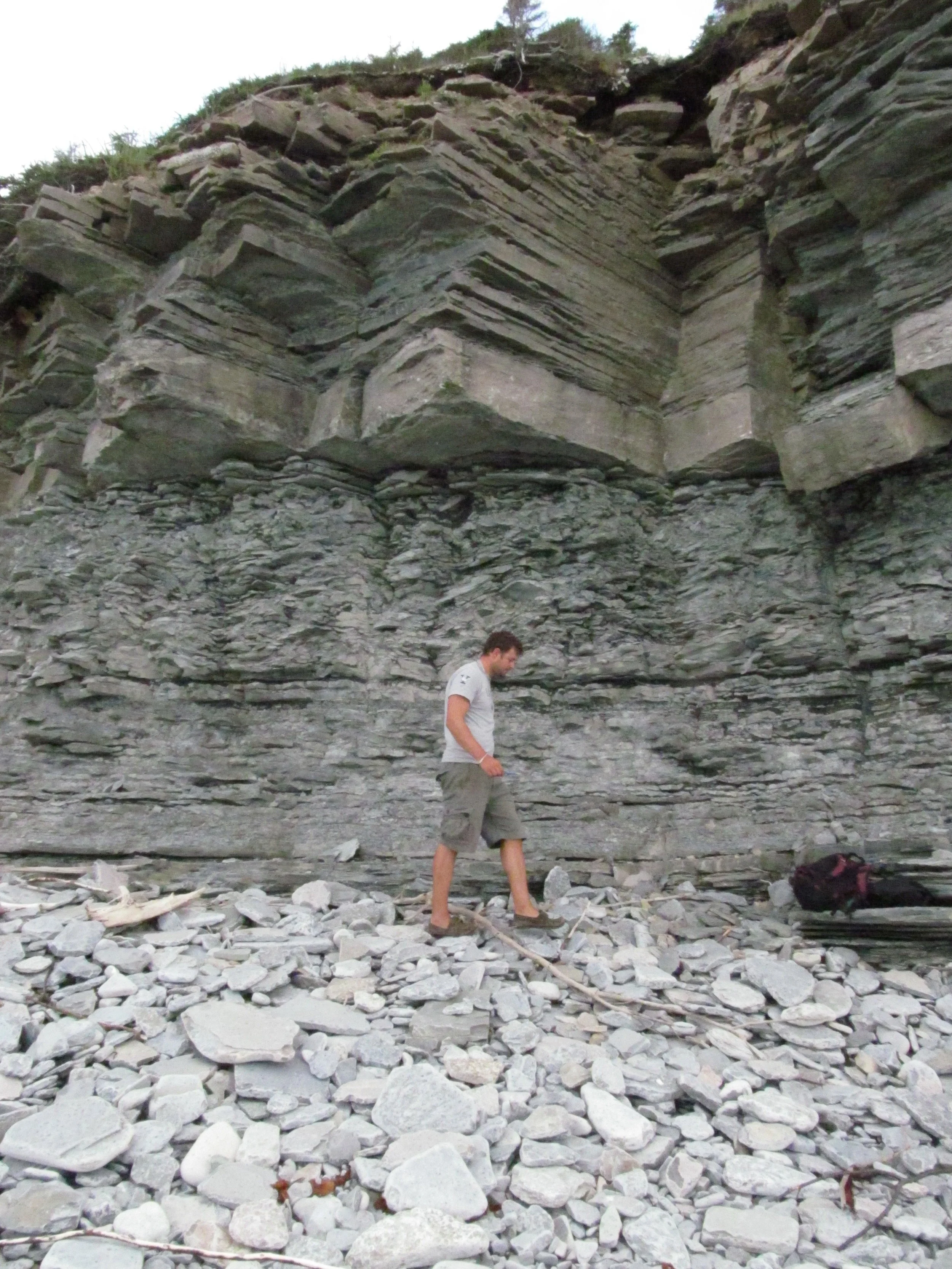  Image credit: Amelinda Webb (Washington College) 