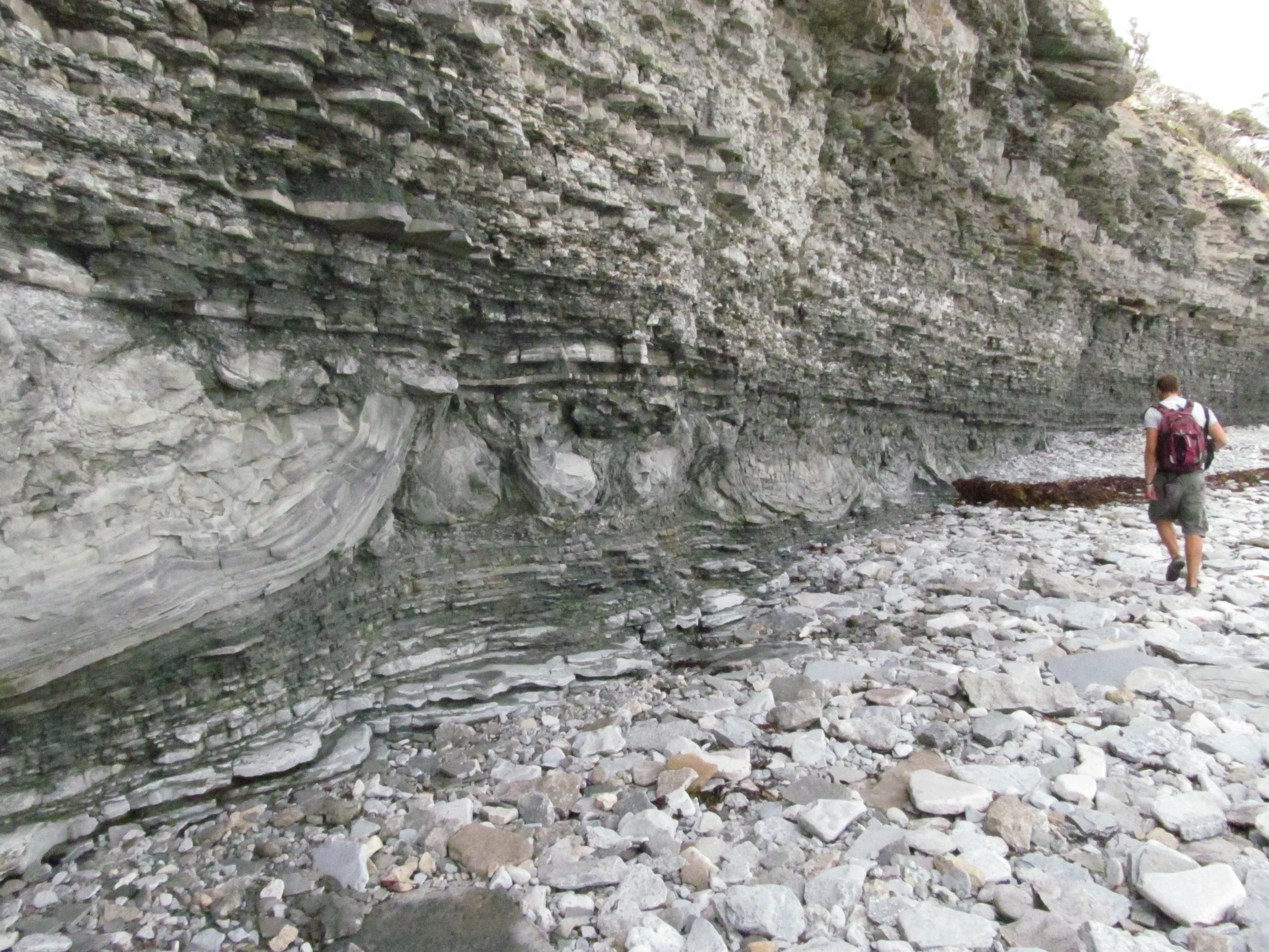  Image credit: Amelinda Webb (Washington College) 